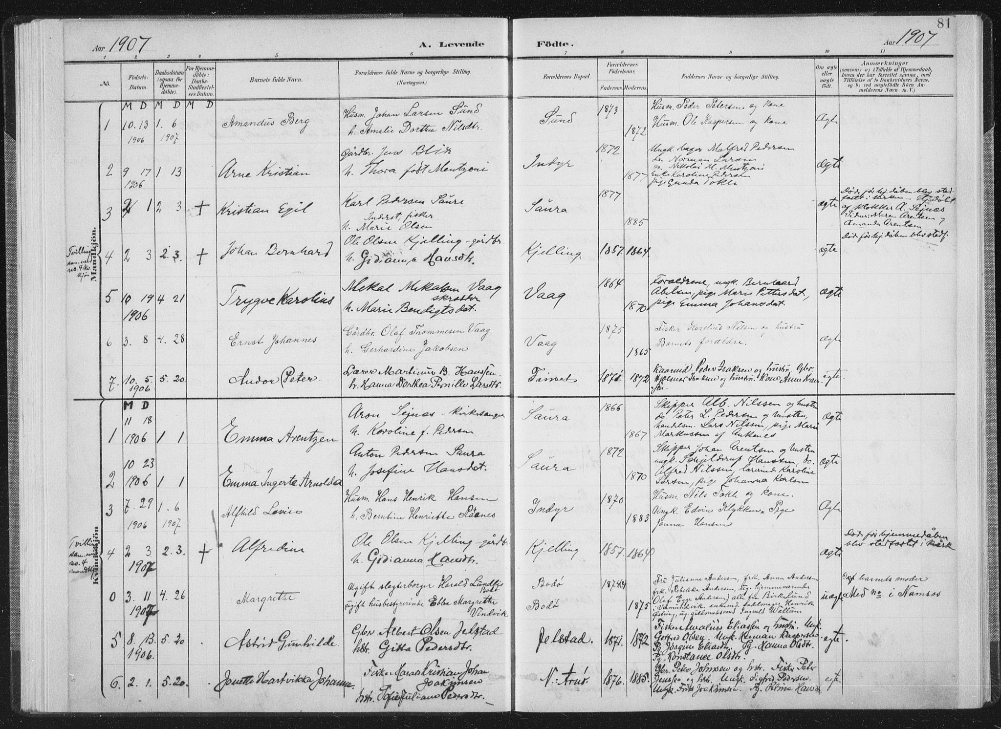 Ministerialprotokoller, klokkerbøker og fødselsregistre - Nordland, AV/SAT-A-1459/805/L0102: Parish register (official) no. 805A08I, 1900-1909, p. 81