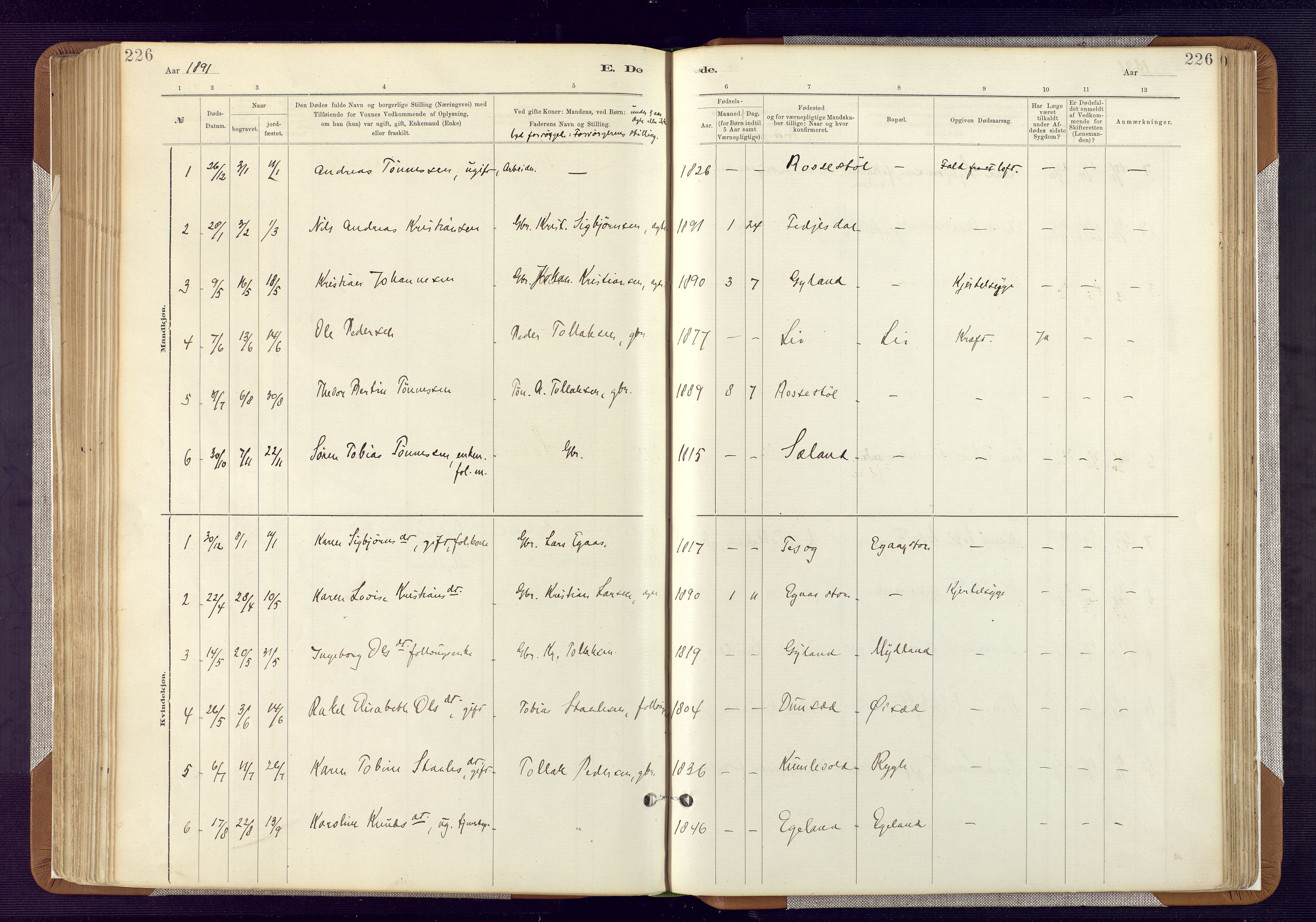 Bakke sokneprestkontor, SAK/1111-0002/F/Fa/Fab/L0003: Parish register (official) no. A 3, 1884-1921, p. 226