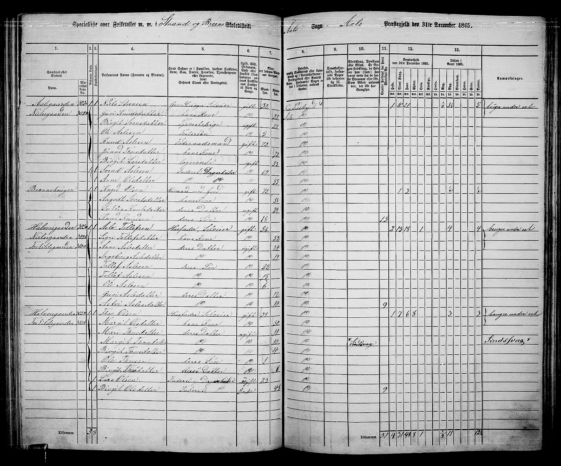 RA, 1865 census for Ål, 1865, p. 157