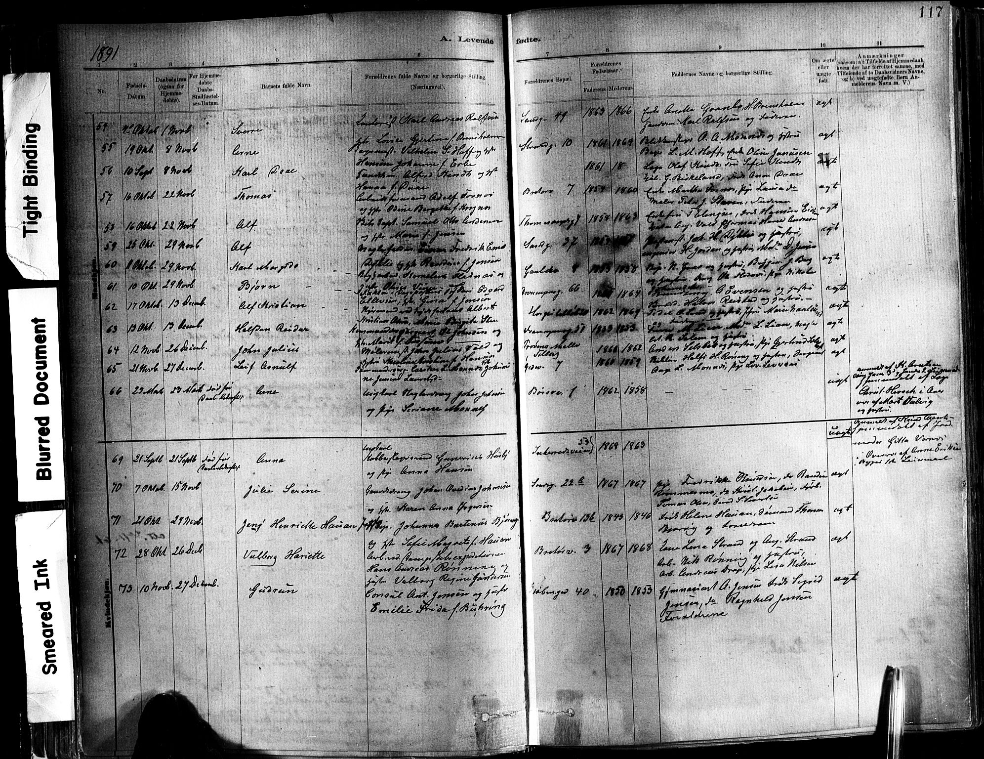 Ministerialprotokoller, klokkerbøker og fødselsregistre - Sør-Trøndelag, SAT/A-1456/602/L0119: Parish register (official) no. 602A17, 1880-1901, p. 117