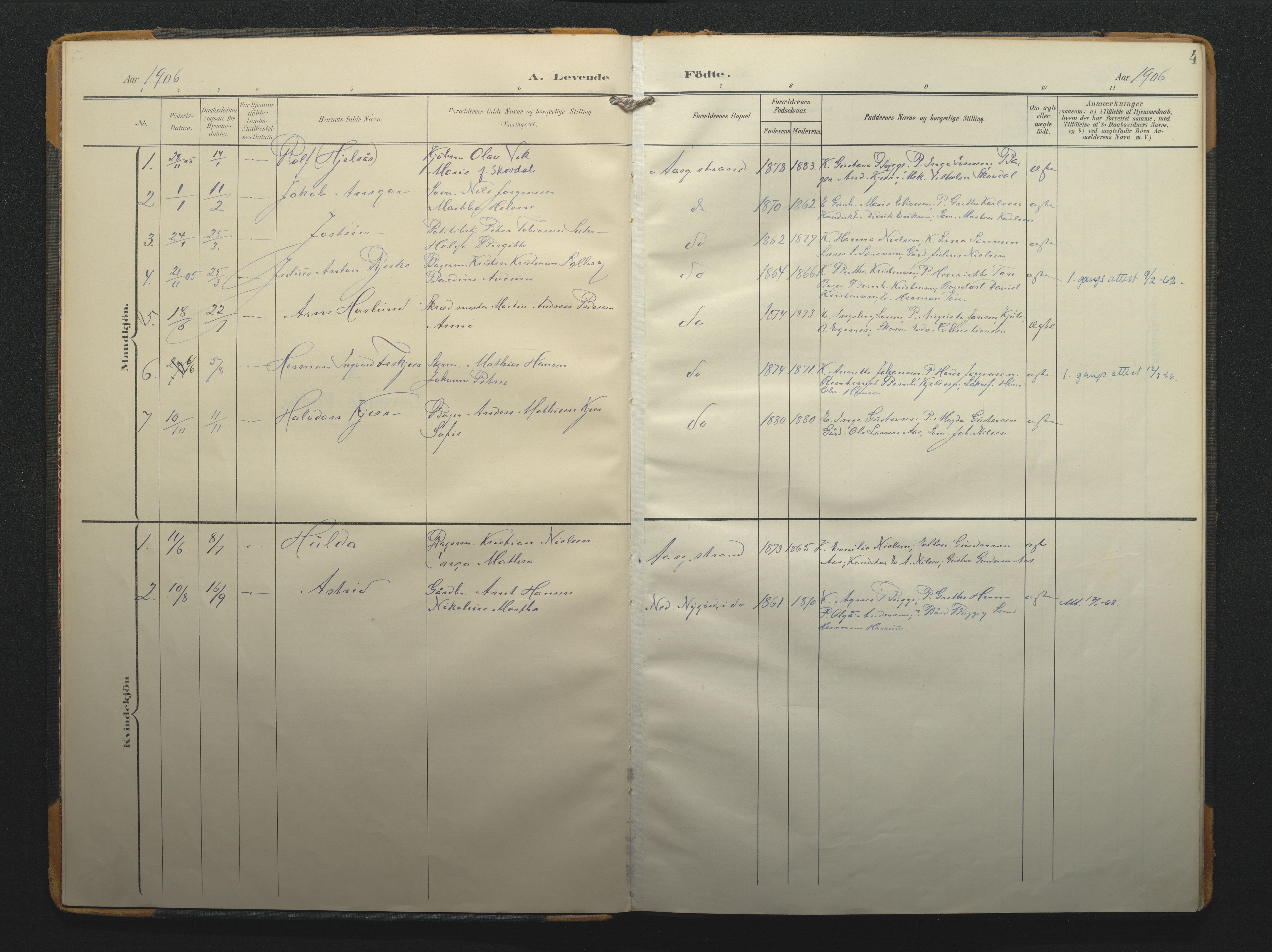 Borre kirkebøker, AV/SAKO-A-338/F/Fb/L0003: Parish register (official) no. II 3, 1906-1919