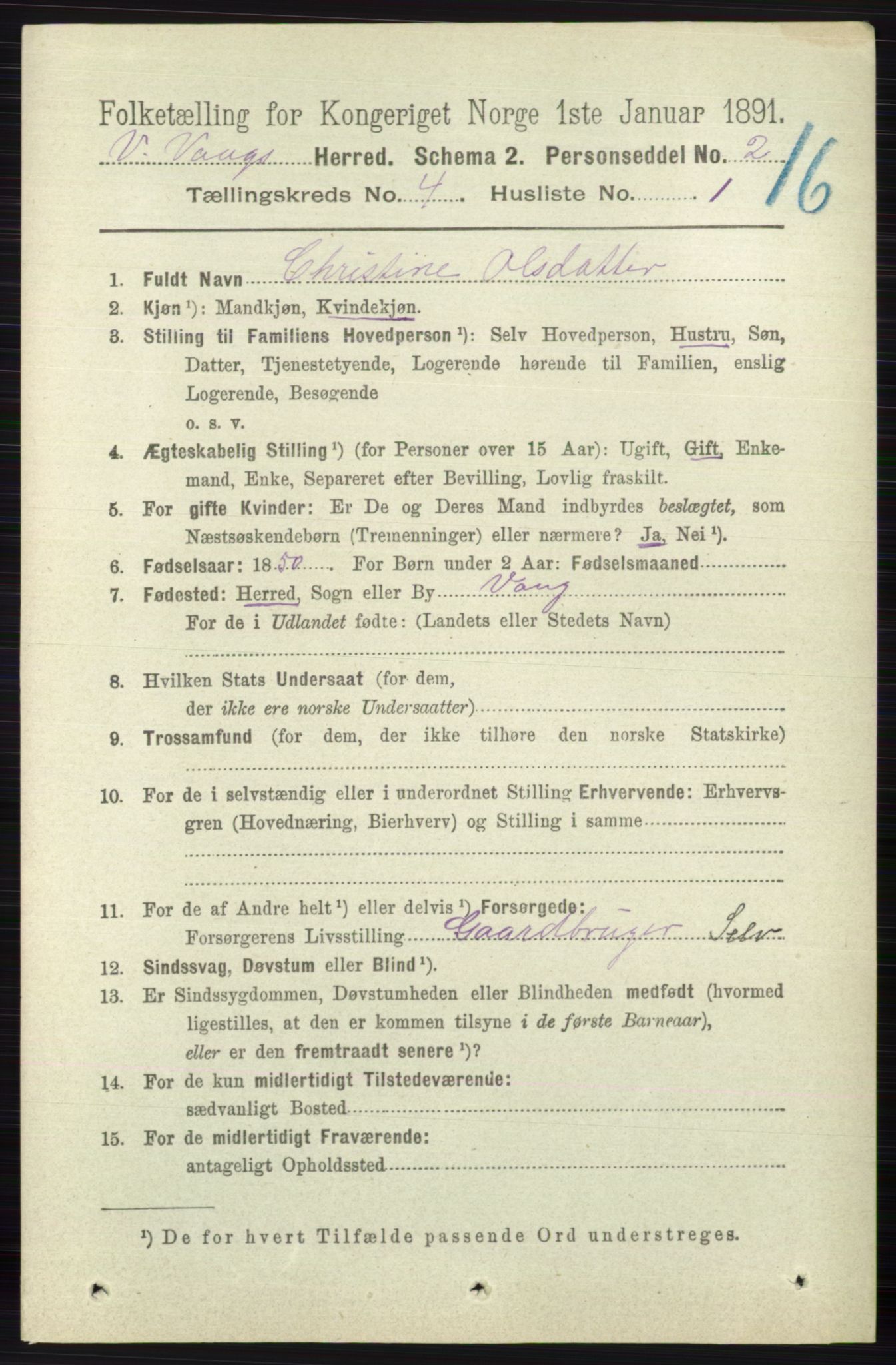 RA, 1891 census for 0545 Vang, 1891, p. 895