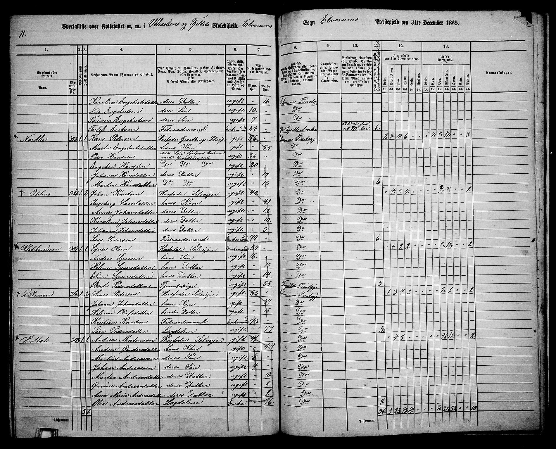 RA, 1865 census for Elverum, 1865, p. 246