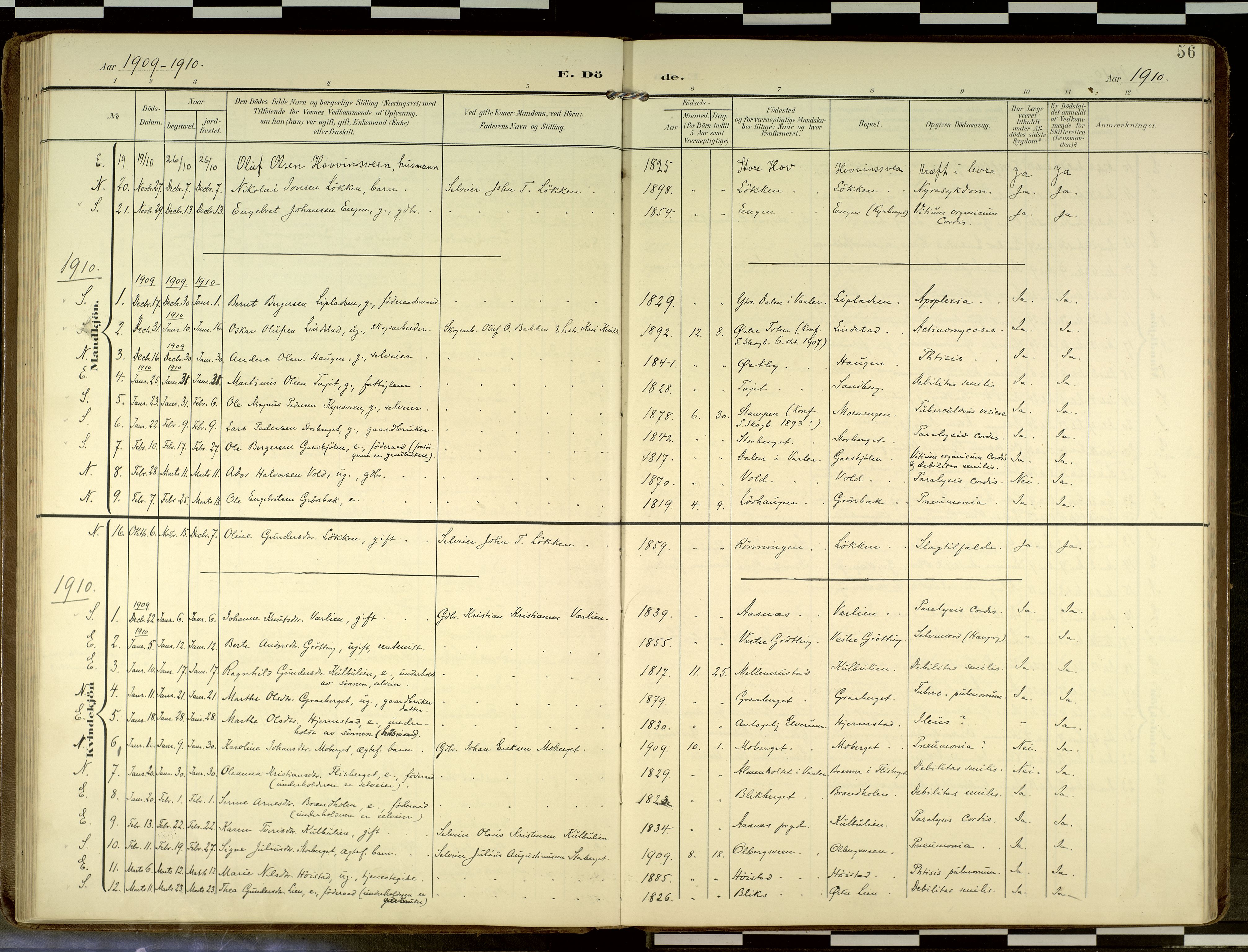 Elverum prestekontor, AV/SAH-PREST-044/H/Ha/Haa/L0019: Parish register (official) no. 19, 1903-1926, p. 56