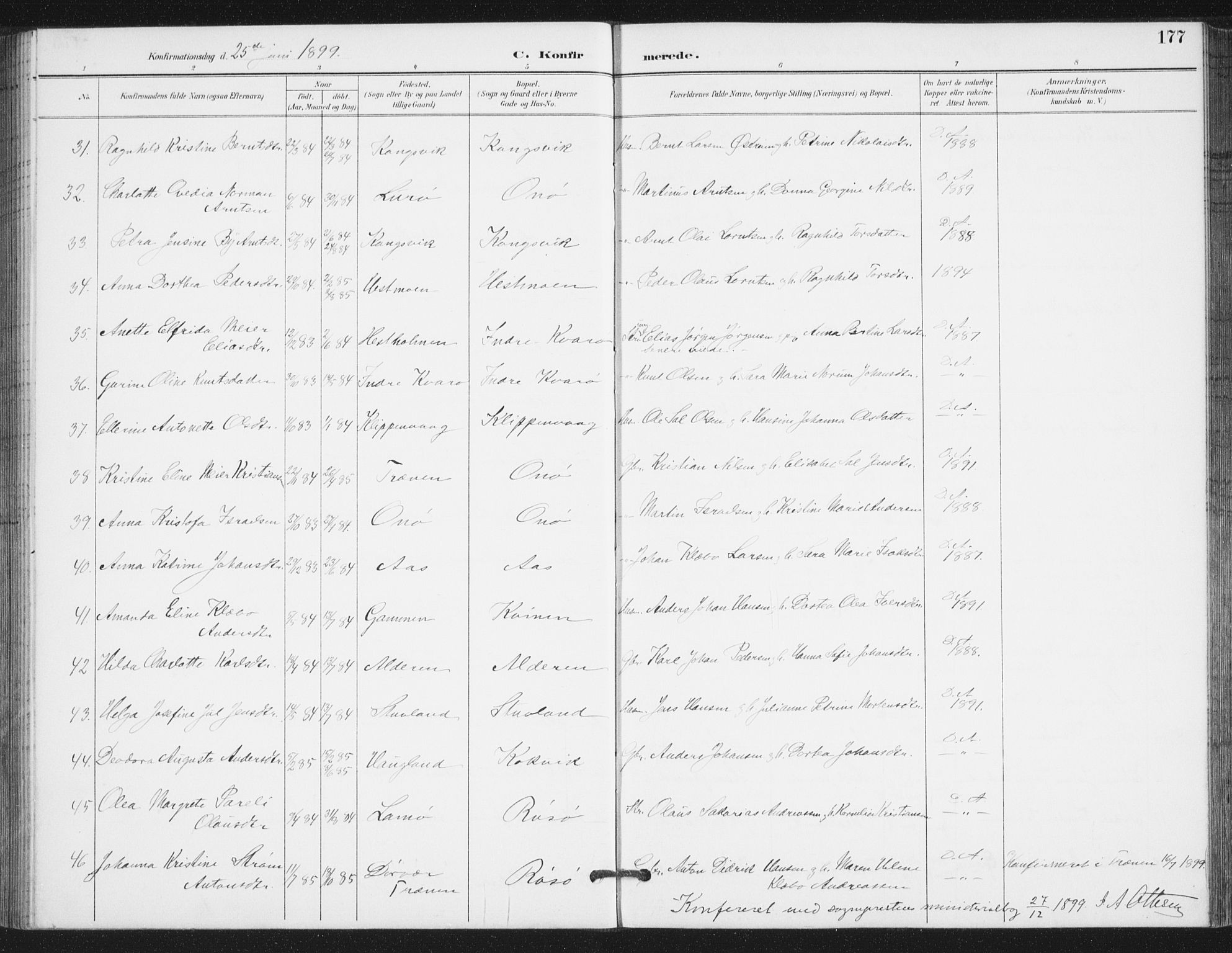 Ministerialprotokoller, klokkerbøker og fødselsregistre - Nordland, AV/SAT-A-1459/839/L0573: Parish register (copy) no. 839C03, 1892-1917, p. 177