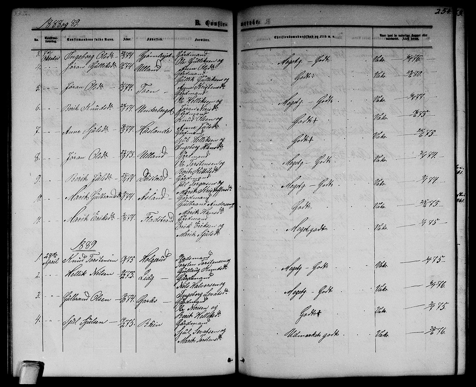 Flesberg kirkebøker, SAKO/A-18/G/Ga/L0003: Parish register (copy) no. I 3, 1861-1889, p. 254