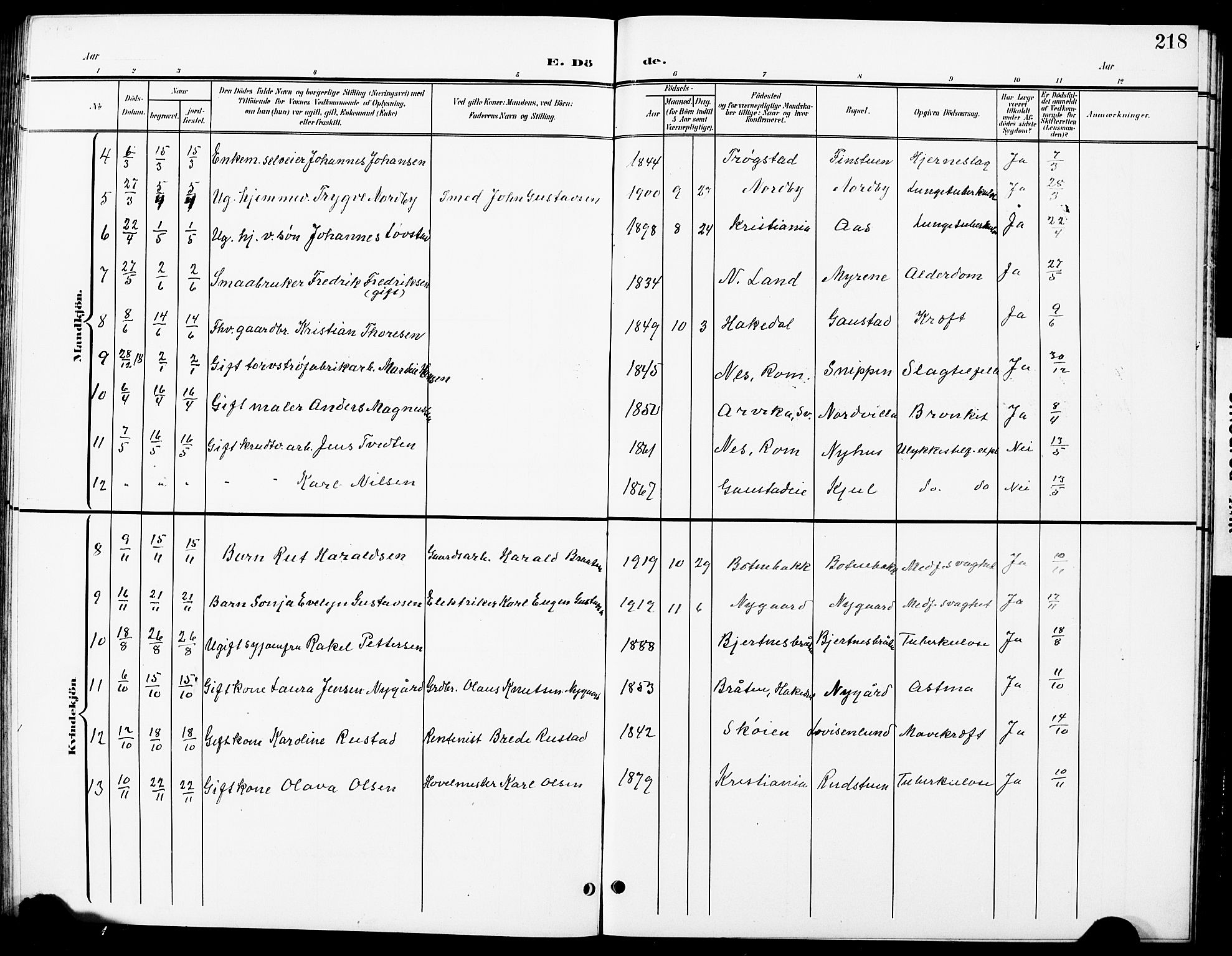 Nittedal prestekontor Kirkebøker, SAO/A-10365a/G/Ga/L0003: Parish register (copy) no. I 3, 1902-1929, p. 218