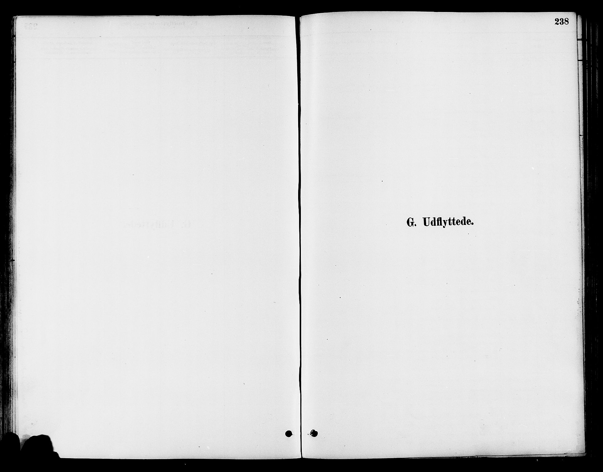 Østre Toten prestekontor, SAH/PREST-104/H/Ha/Haa/L0007: Parish register (official) no. 7, 1881-1896, p. 238