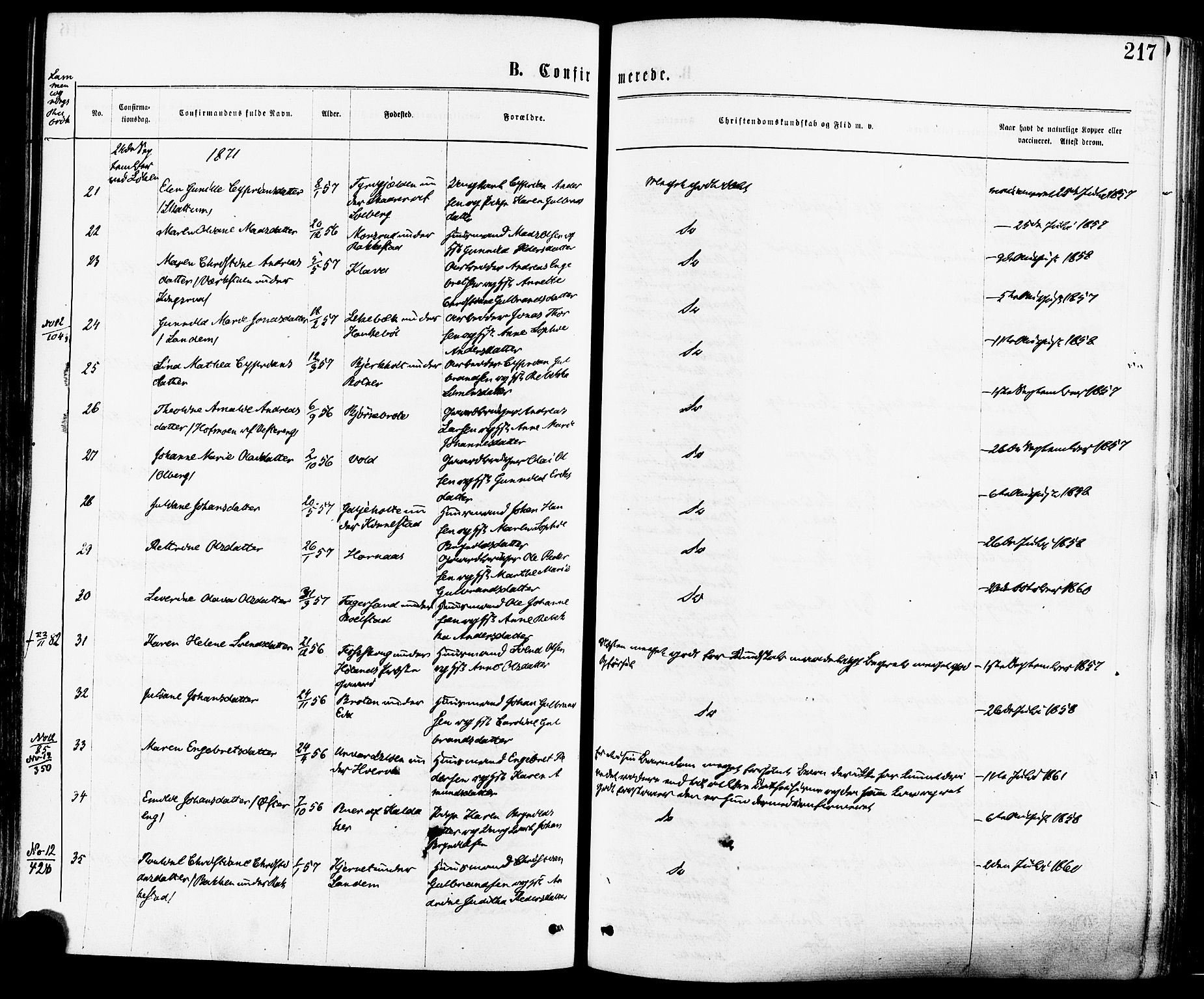 Høland prestekontor Kirkebøker, AV/SAO-A-10346a/F/Fa/L0012.a: Parish register (official) no. I 12A, 1869-1879, p. 217