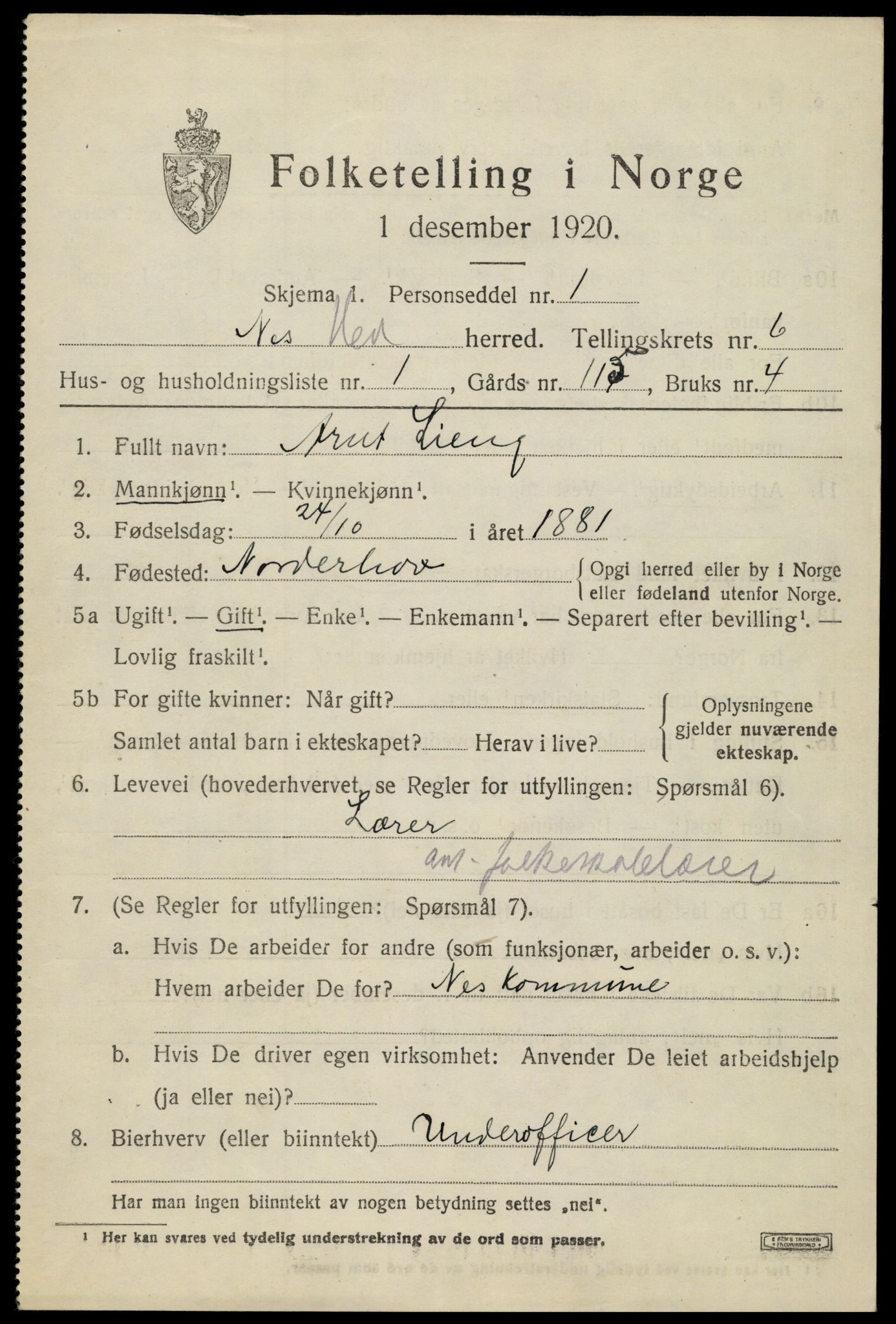 SAH, 1920 census for Nes (Hedmark), 1920, p. 7782