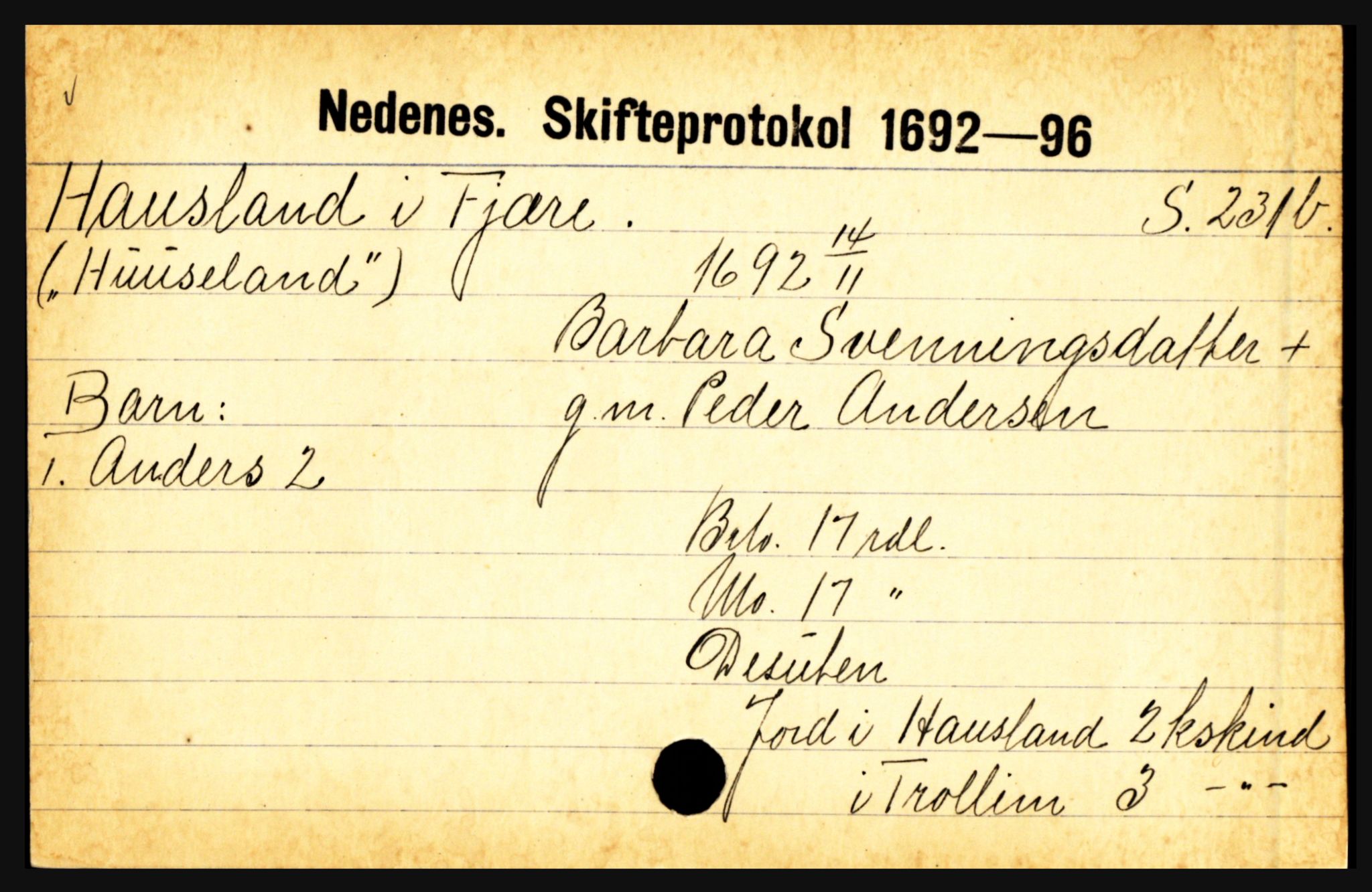 Nedenes sorenskriveri før 1824, AV/SAK-1221-0007/H, p. 11363