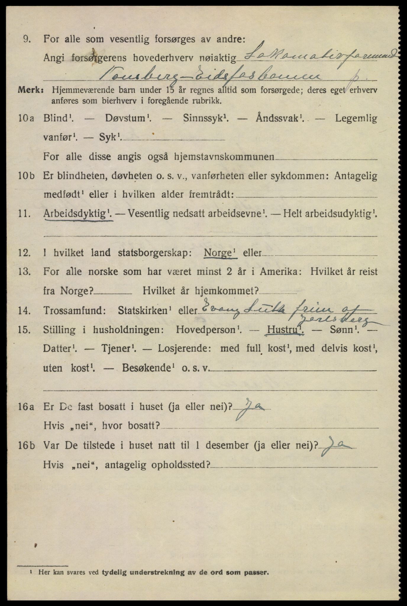 SAKO, 1920 census for Tønsberg, 1920, p. 19960