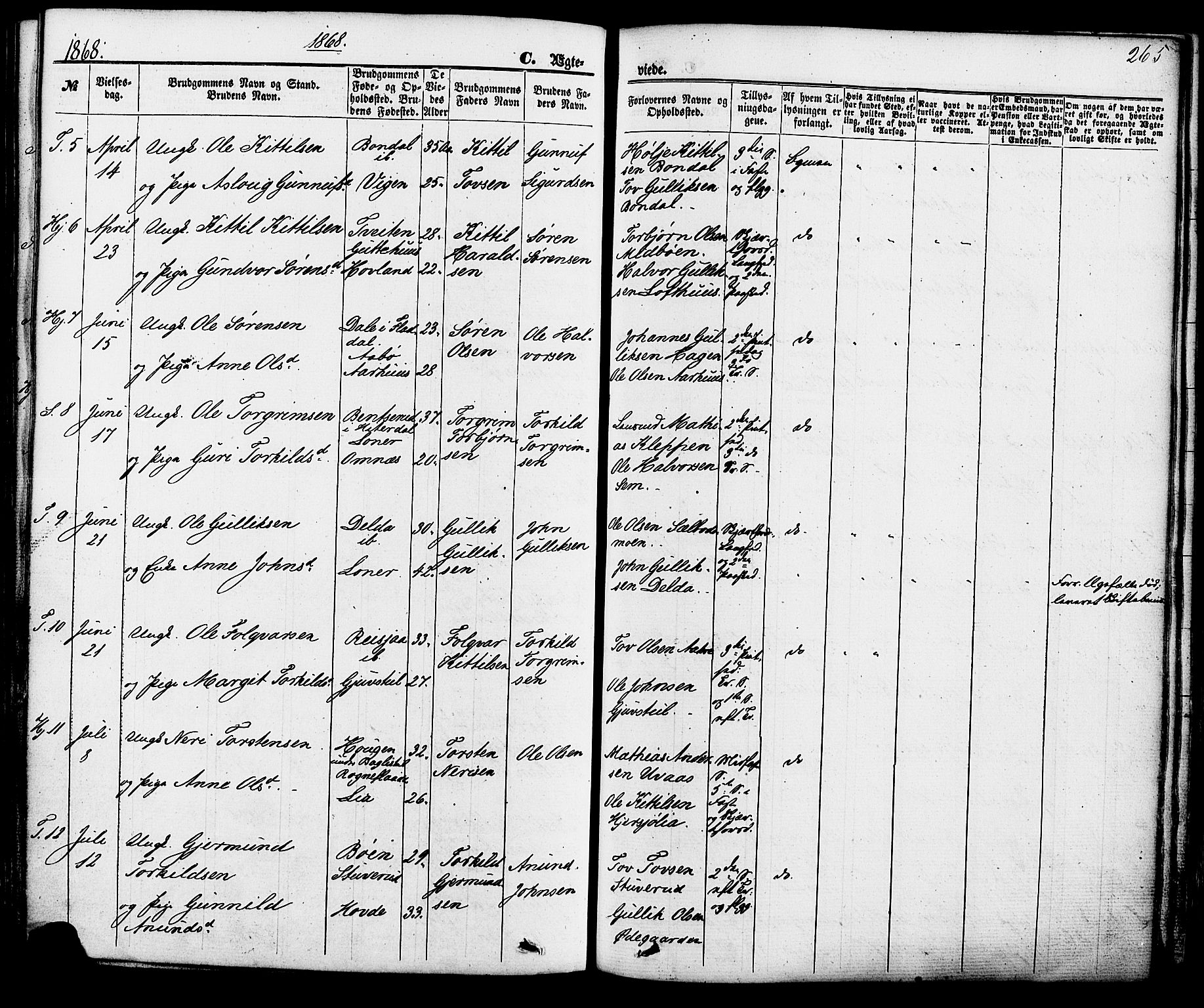 Hjartdal kirkebøker, SAKO/A-270/F/Fa/L0009: Parish register (official) no. I 9, 1860-1879, p. 265