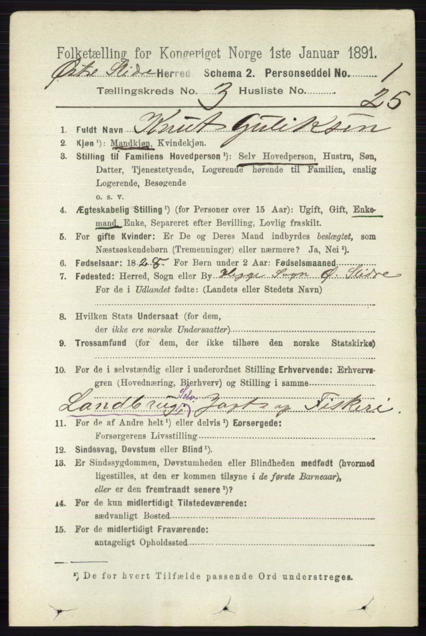 RA, 1891 census for 0544 Øystre Slidre, 1891, p. 814