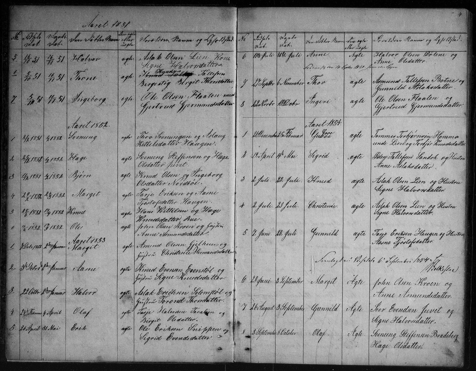 Vinje kirkebøker, AV/SAKO-A-312/G/Gb/L0002: Parish register (copy) no. II 2, 1849-1891, p. 4