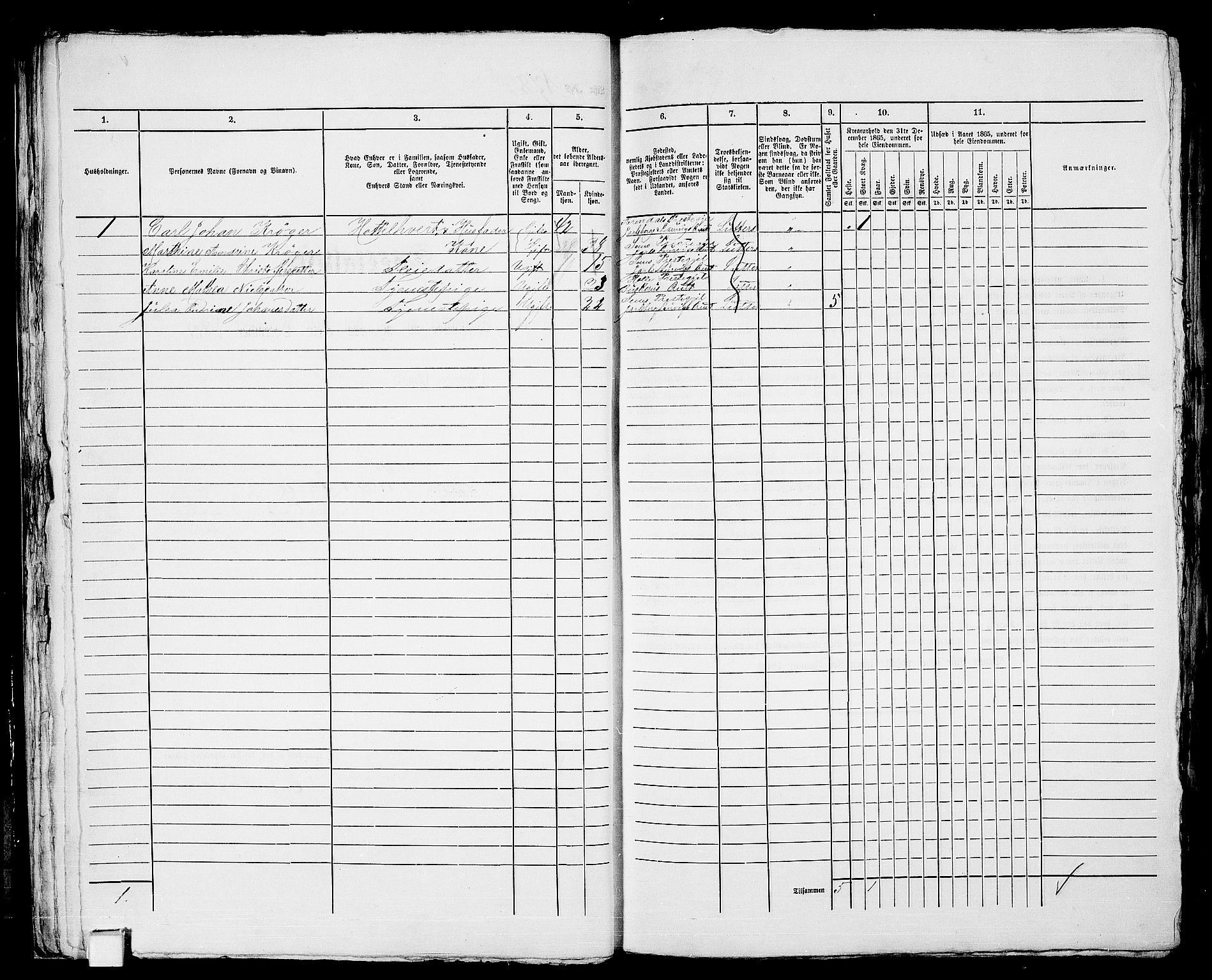 RA, 1865 census for Tønsberg, 1865, p. 391