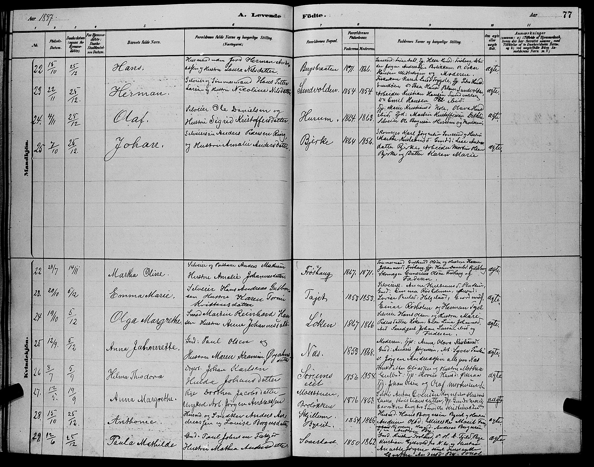 Hole kirkebøker, SAKO/A-228/G/Ga/L0003: Parish register (copy) no. I 3, 1879-1904, p. 77