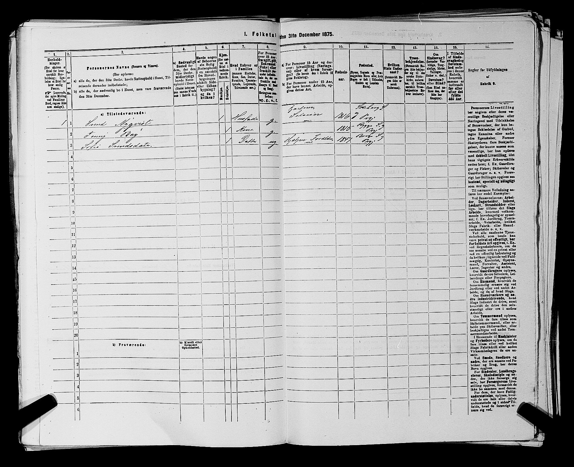 RA, 1875 census for 0113P Borge, 1875, p. 816