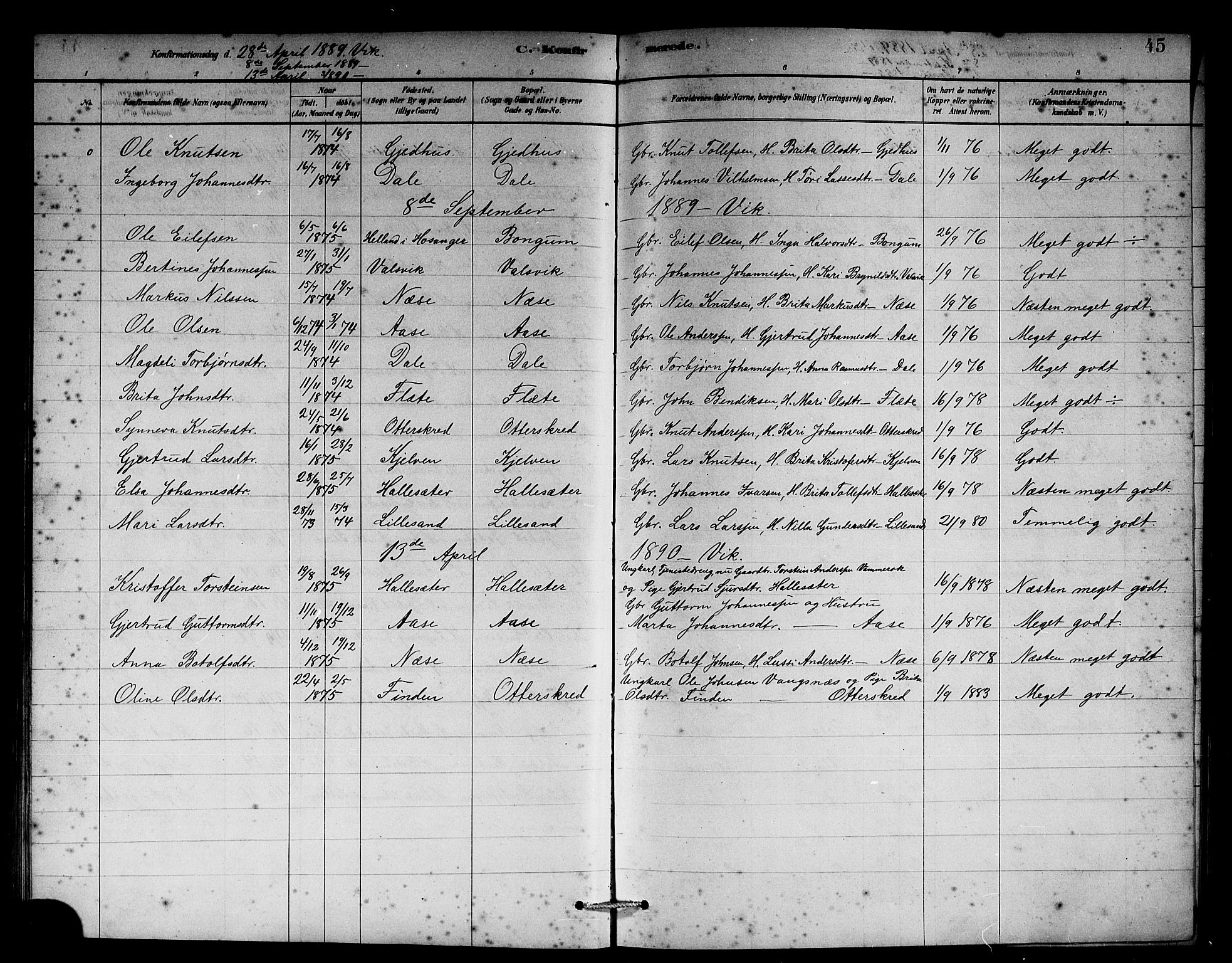 Vik sokneprestembete, AV/SAB-A-81501/H/Hab/Habb/L0002: Parish register (copy) no. B 2, 1878-1893, p. 45