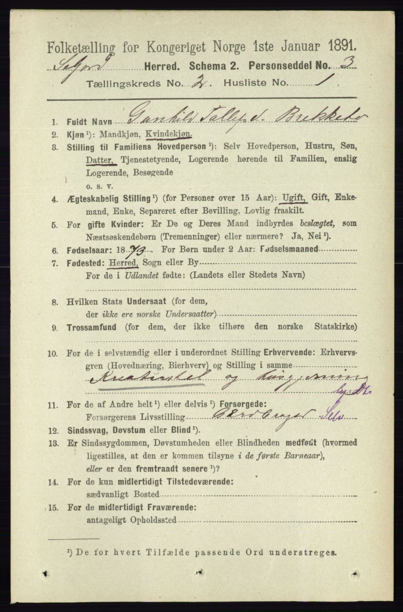 RA, 1891 census for 0828 Seljord, 1891, p. 573