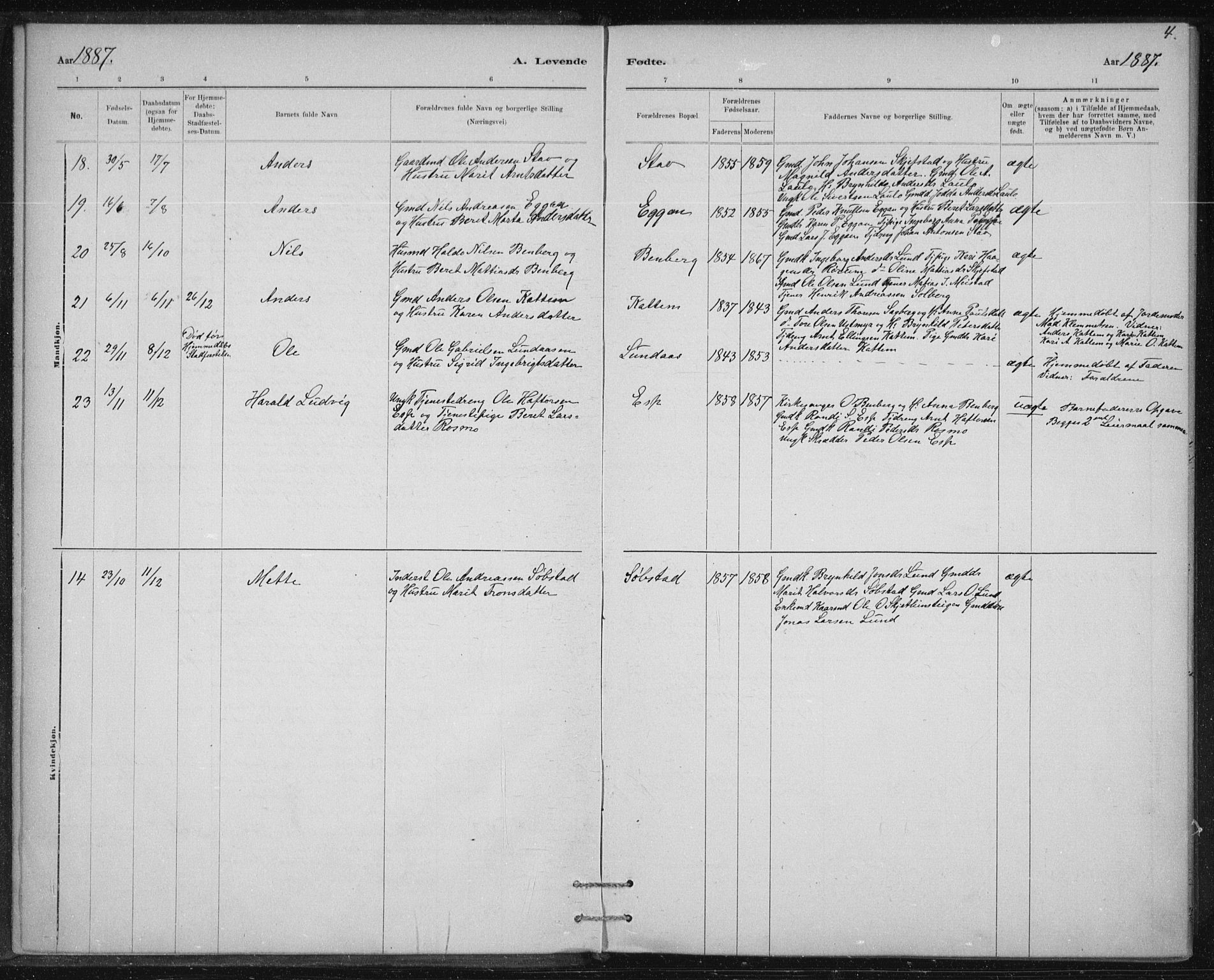 Ministerialprotokoller, klokkerbøker og fødselsregistre - Sør-Trøndelag, AV/SAT-A-1456/613/L0392: Parish register (official) no. 613A01, 1887-1906, p. 4