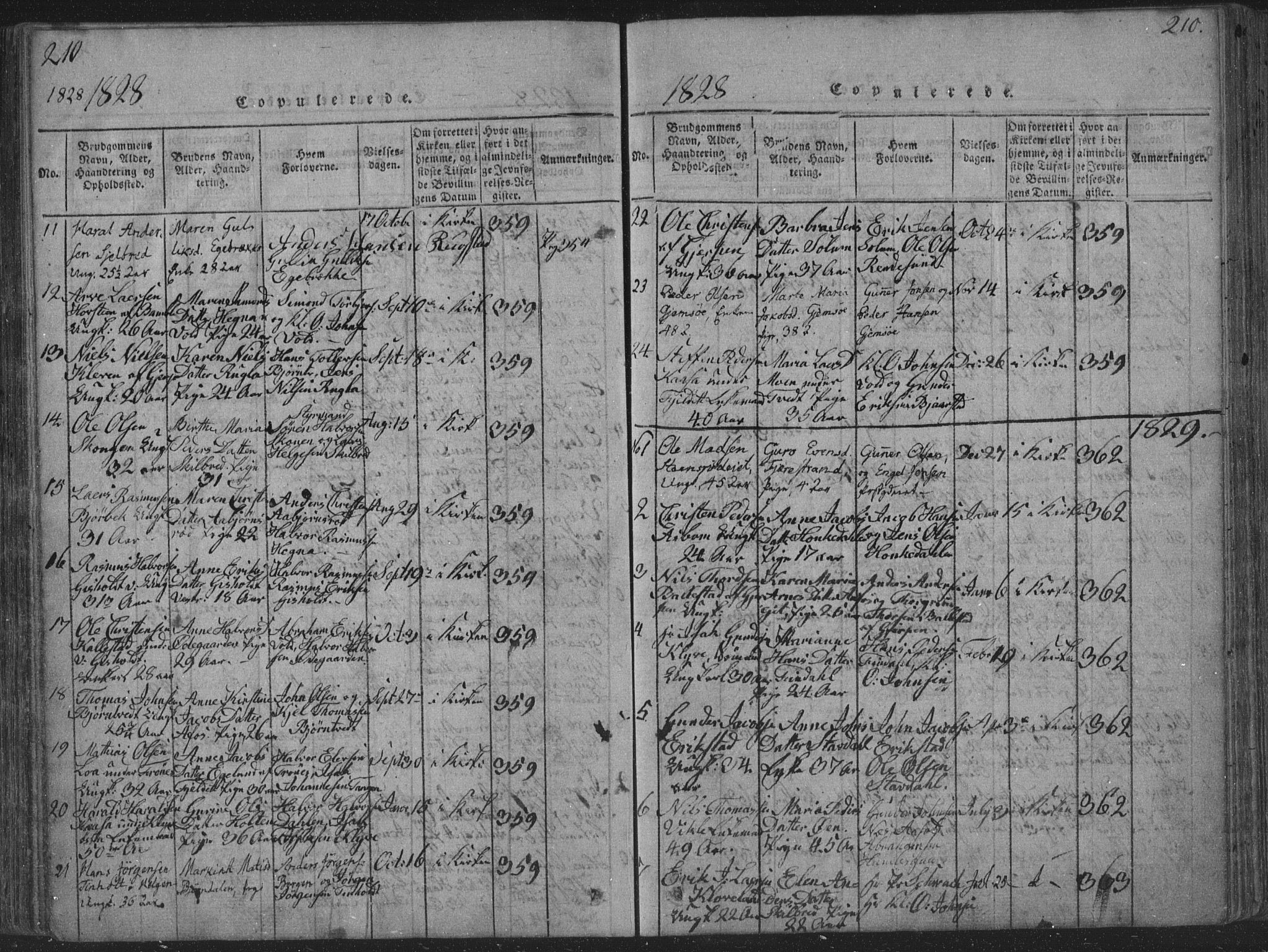 Solum kirkebøker, SAKO/A-306/F/Fa/L0004: Parish register (official) no. I 4, 1814-1833, p. 210