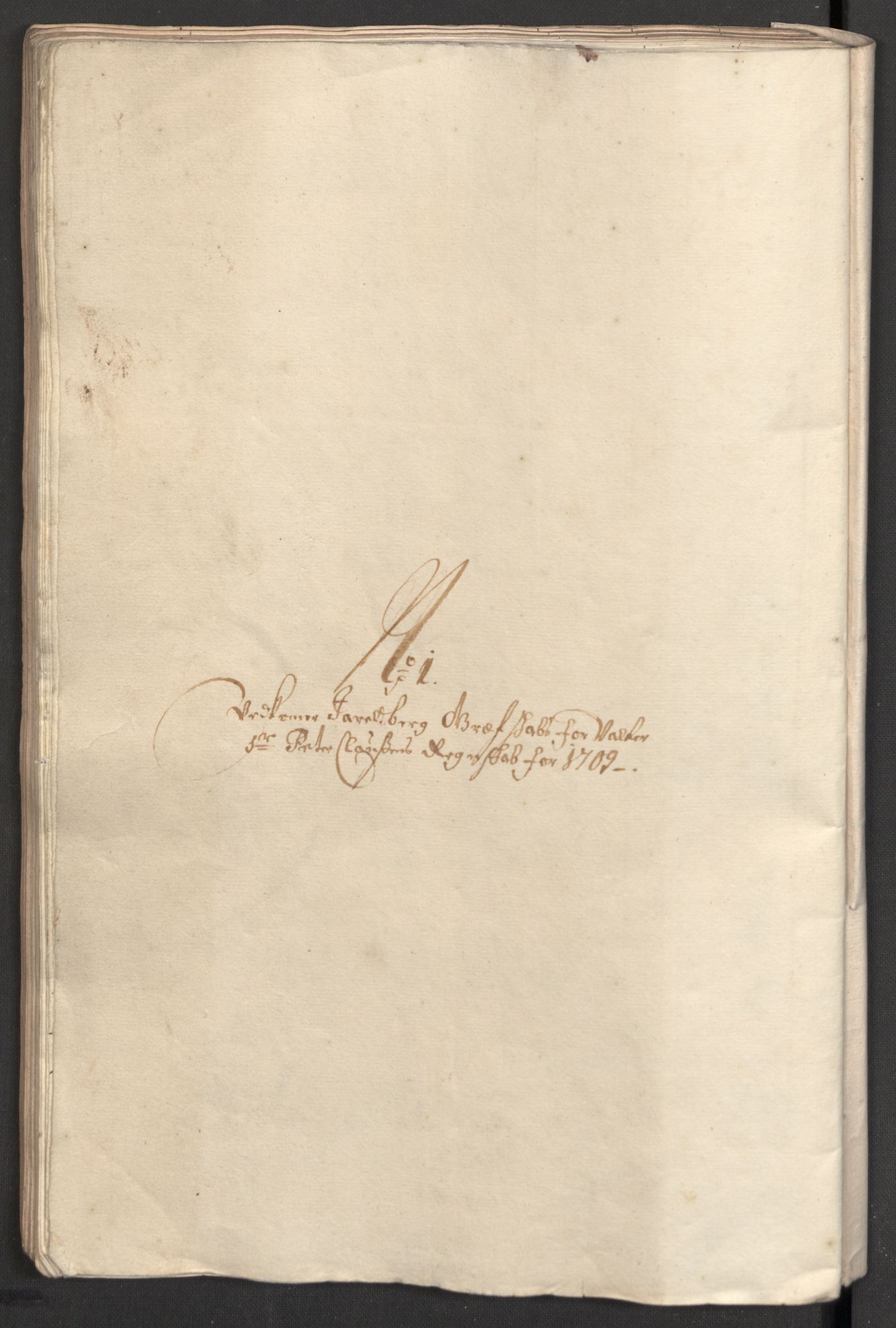 Rentekammeret inntil 1814, Reviderte regnskaper, Fogderegnskap, RA/EA-4092/R32/L1874: Fogderegnskap Jarlsberg grevskap, 1709, p. 124