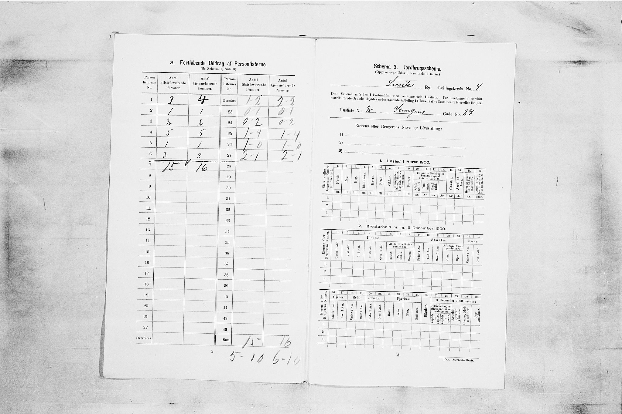 RA, 1900 census for Larvik, 1900, p. 766