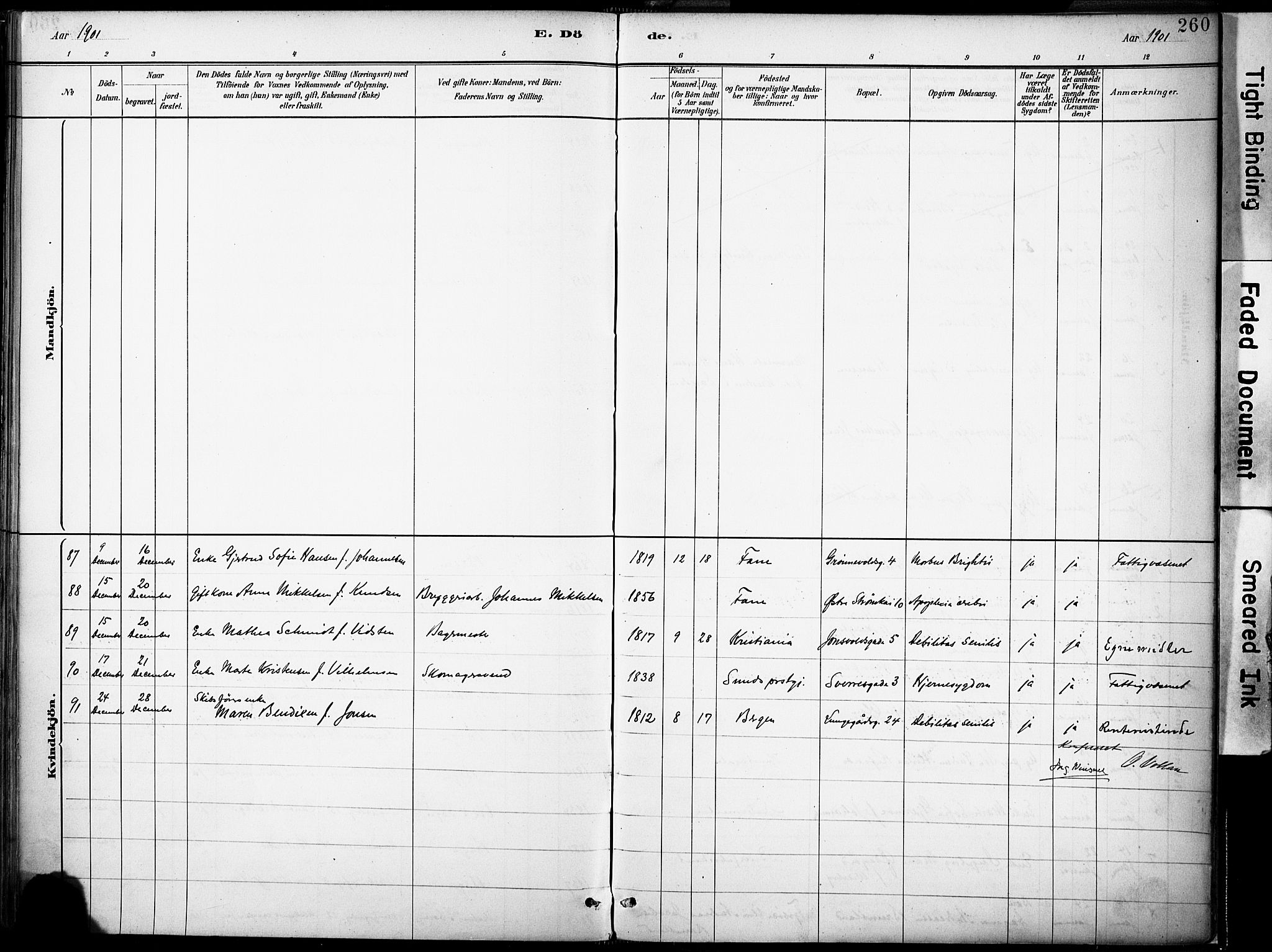 Domkirken sokneprestembete, AV/SAB-A-74801/H/Haa/L0043: Parish register (official) no. E 5, 1882-1904, p. 260