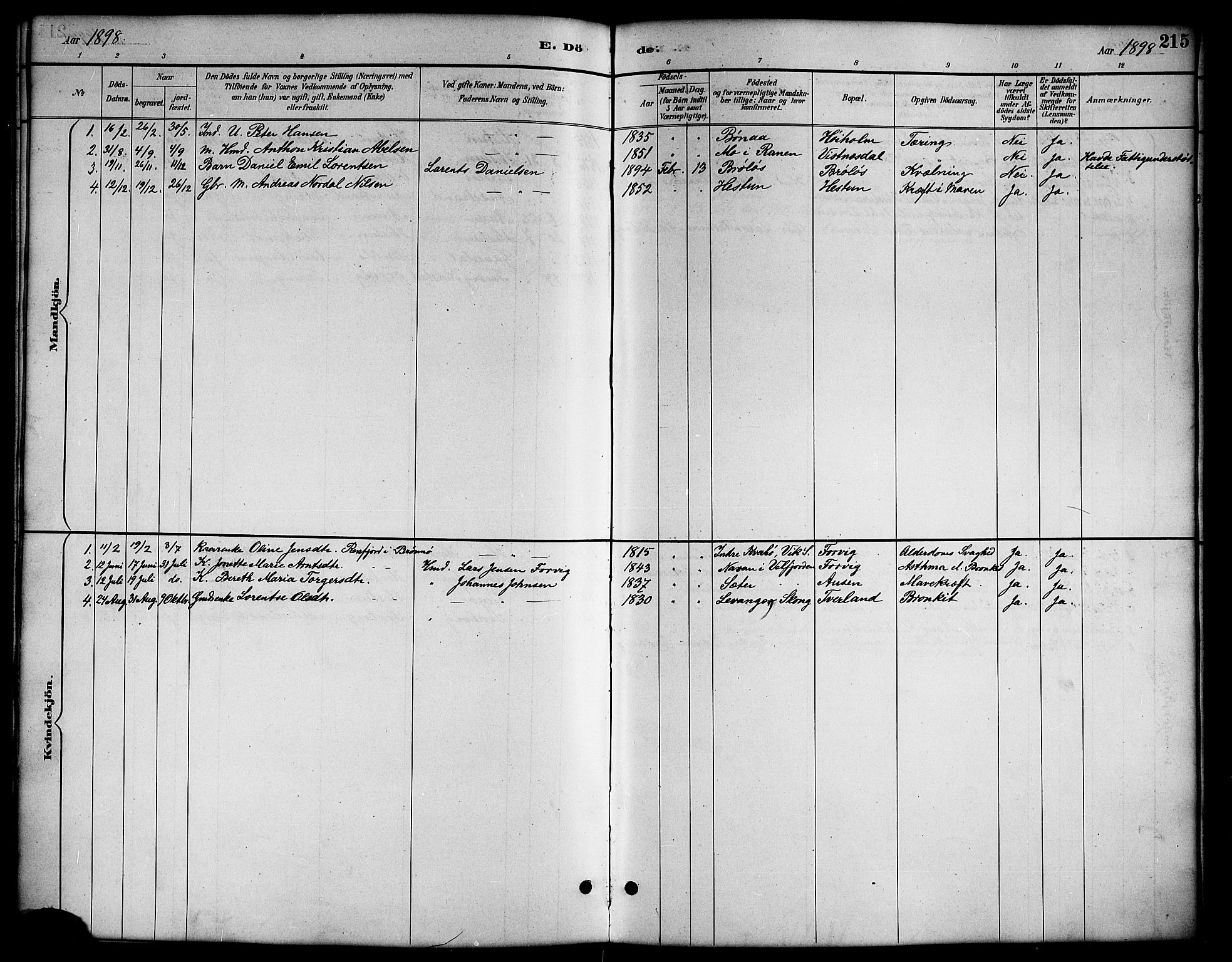 Ministerialprotokoller, klokkerbøker og fødselsregistre - Nordland, AV/SAT-A-1459/819/L0277: Parish register (copy) no. 819C03, 1888-1917, p. 215