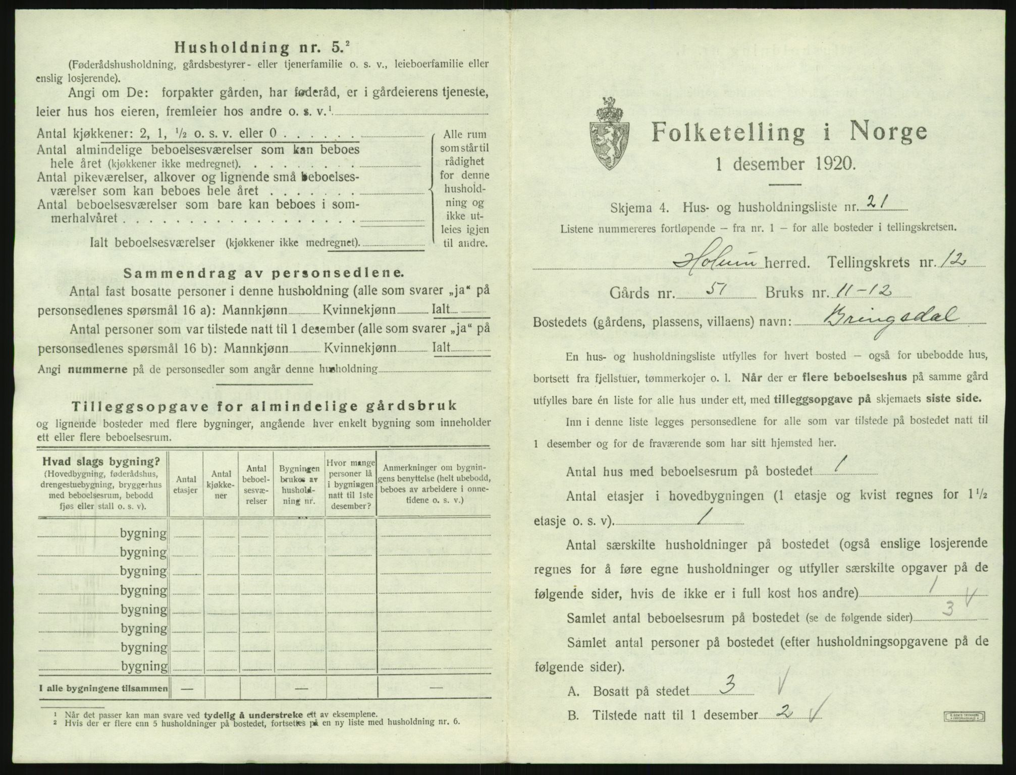 SAK, 1920 census for Holum, 1920, p. 705