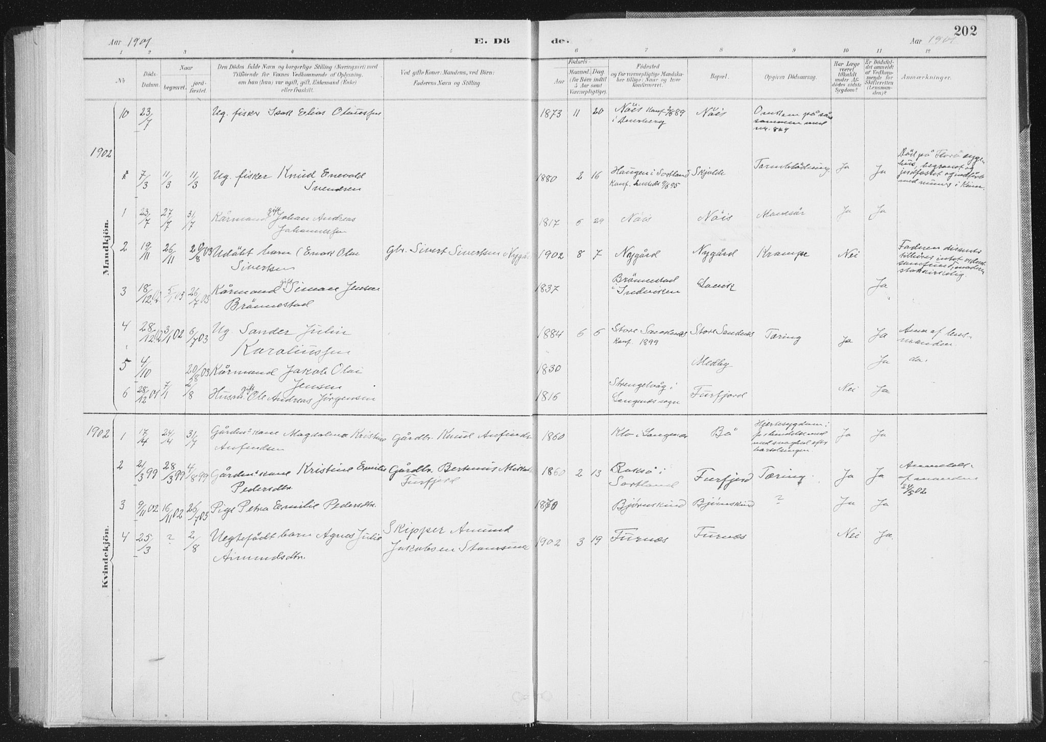 Ministerialprotokoller, klokkerbøker og fødselsregistre - Nordland, AV/SAT-A-1459/898/L1422: Parish register (official) no. 898A02, 1887-1908, p. 202