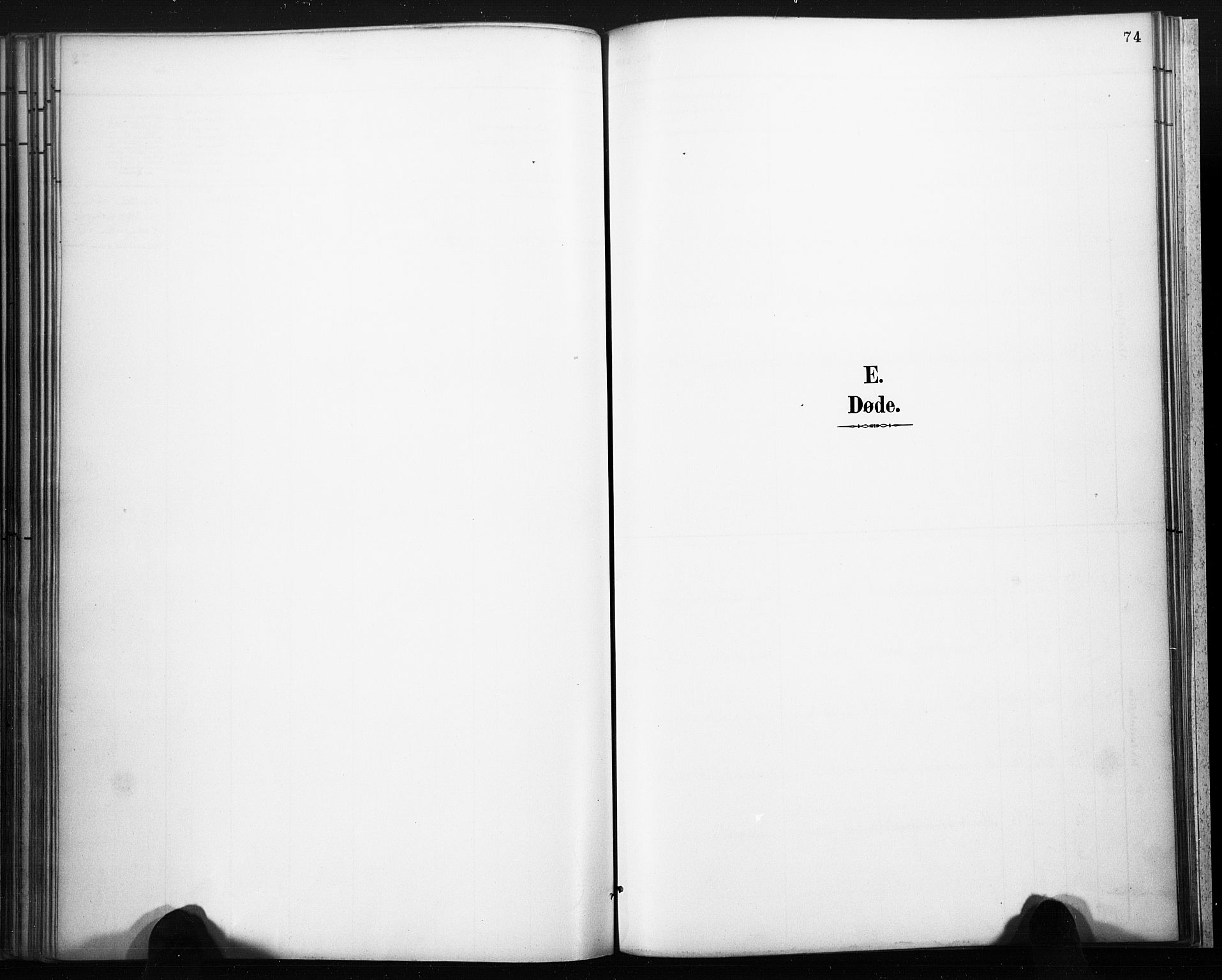 Lårdal kirkebøker, SAKO/A-284/F/Fb/L0002: Parish register (official) no. II 2, 1887-1918, p. 74