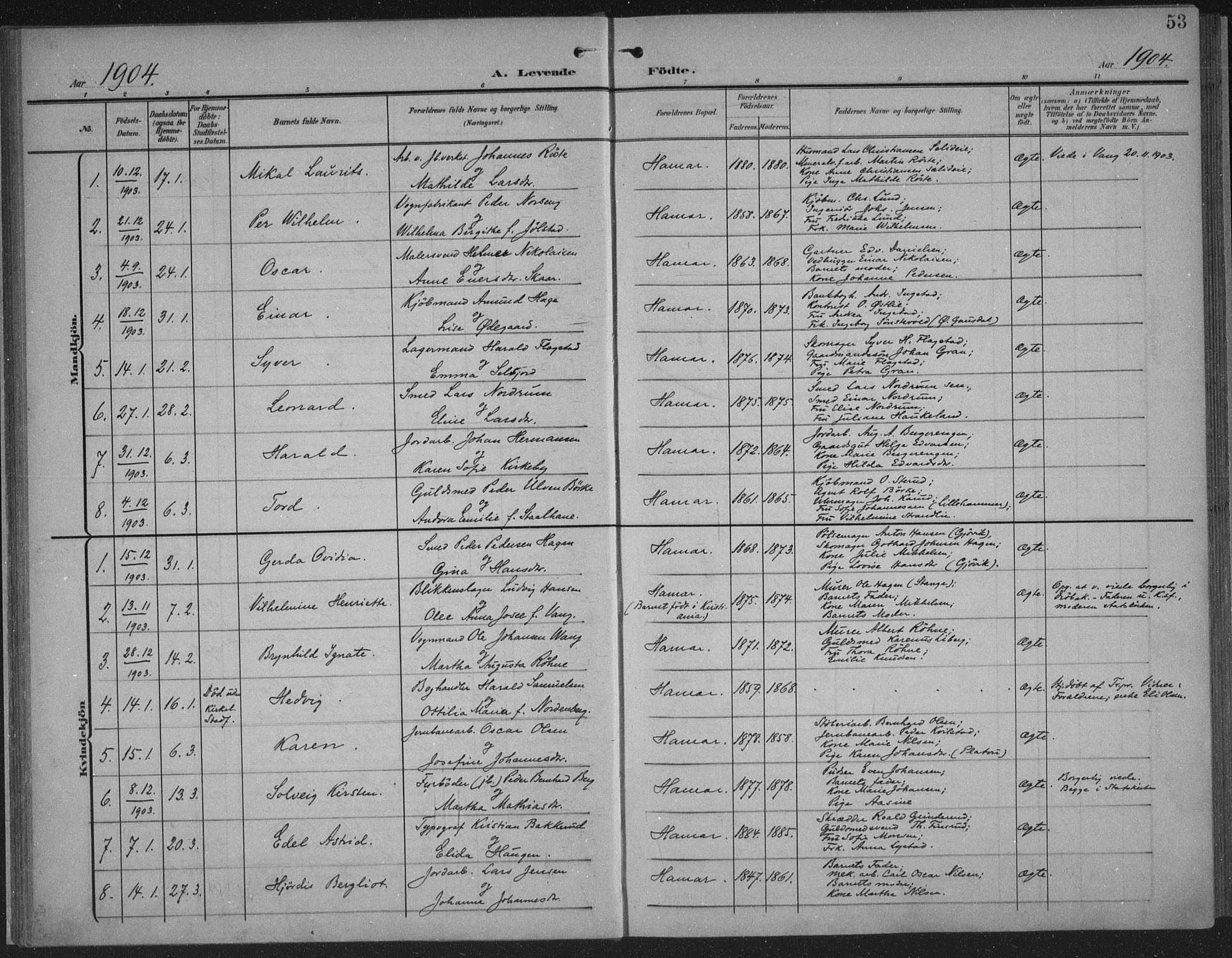 Hamar prestekontor, AV/SAH-DOMPH-002/H/Ha/Haa/L0001: Parish register (official) no. 1, 1900-1914, p. 53