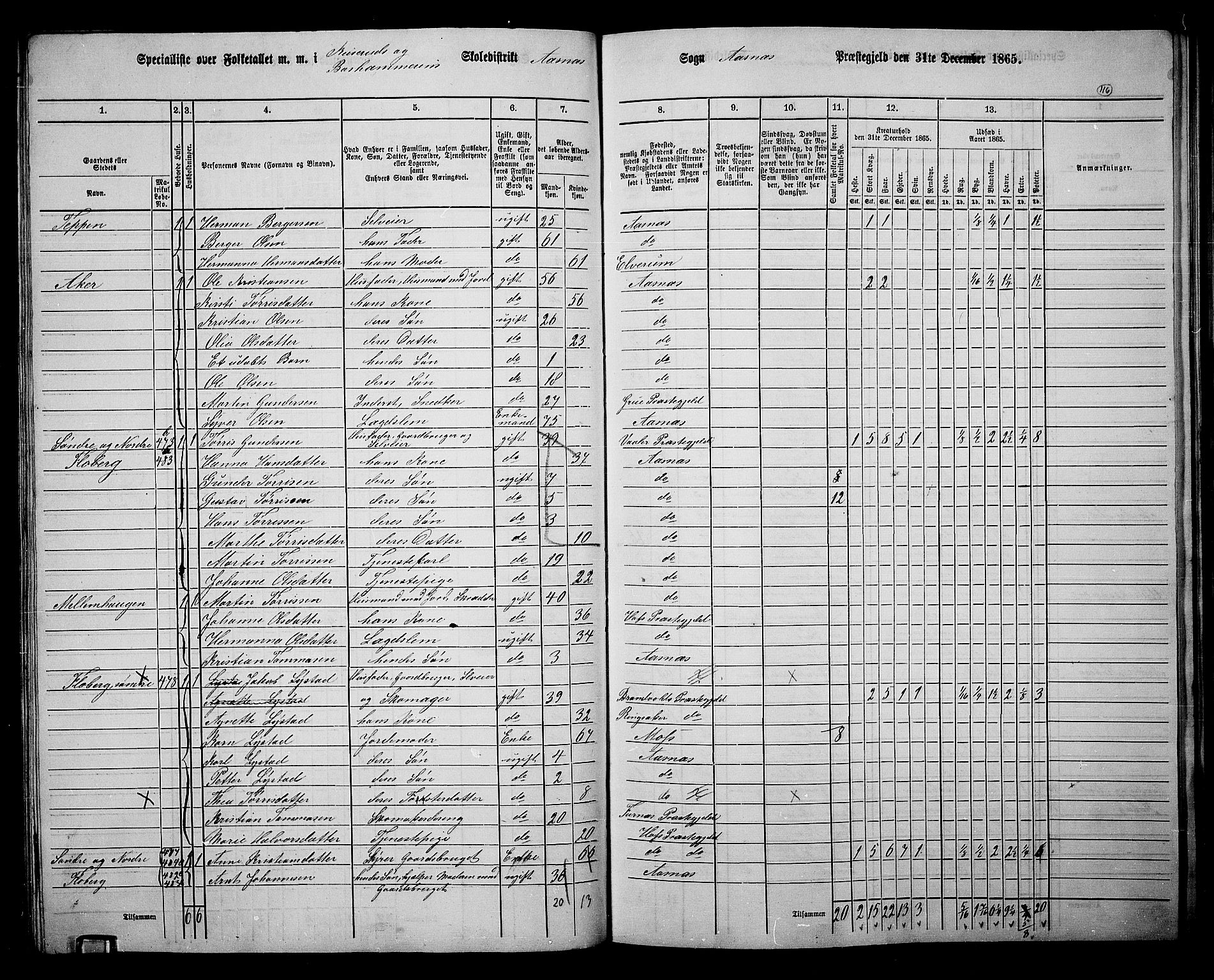 RA, 1865 census for Åsnes, 1865, p. 107