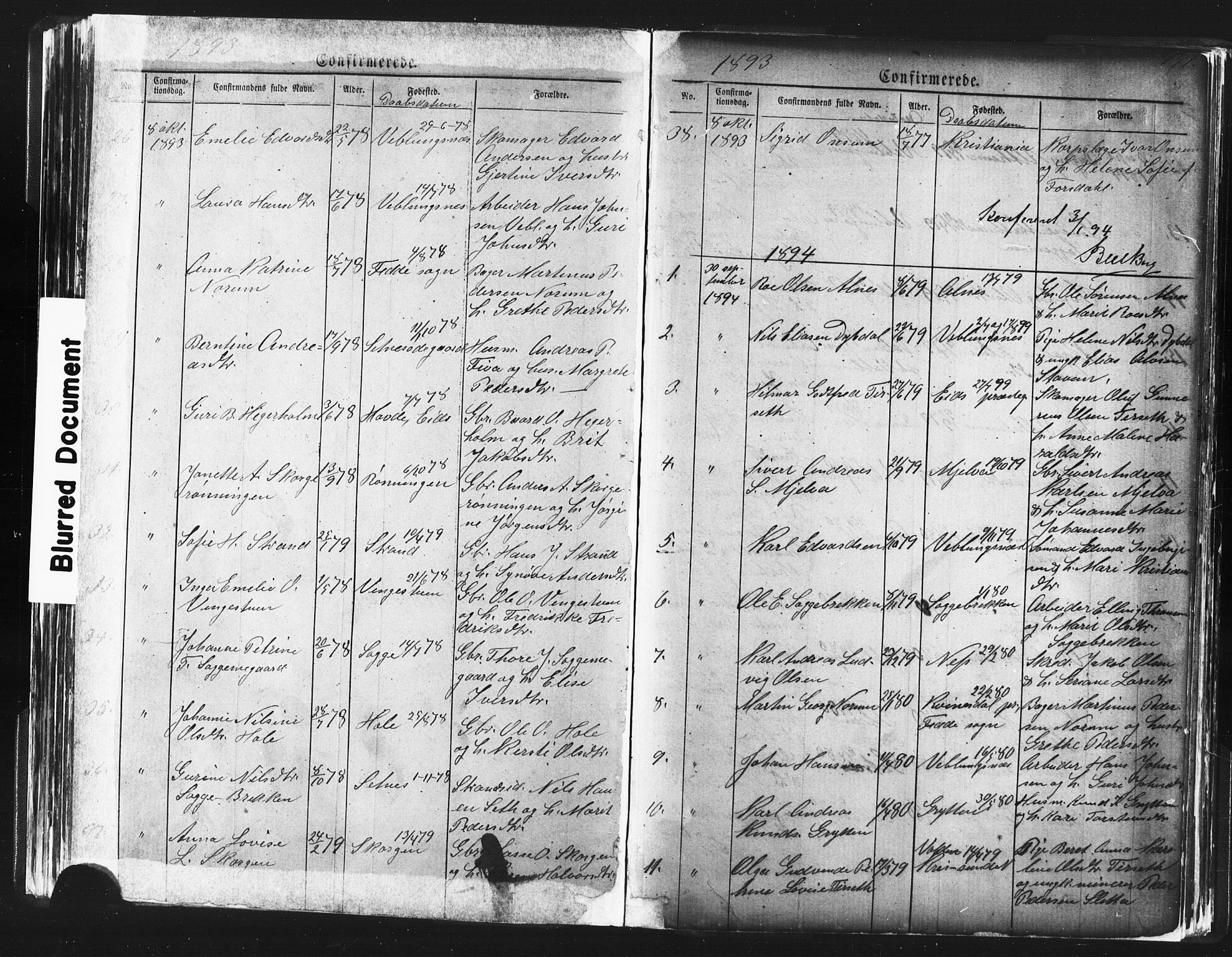 Ministerialprotokoller, klokkerbøker og fødselsregistre - Møre og Romsdal, AV/SAT-A-1454/544/L0580: Parish register (copy) no. 544C02, 1867-1909, p. 171