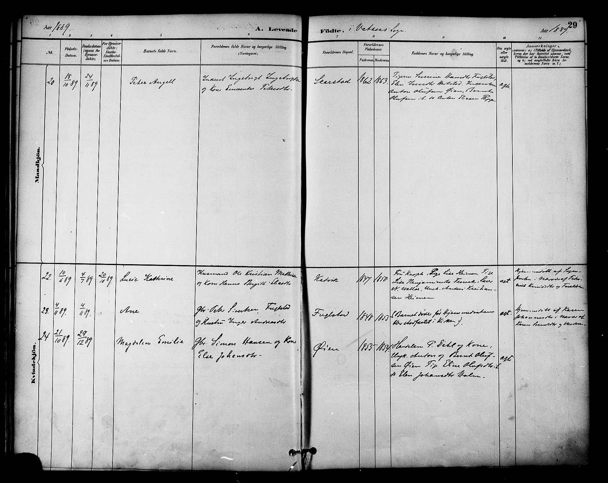 Ministerialprotokoller, klokkerbøker og fødselsregistre - Nordland, AV/SAT-A-1459/810/L0150: Parish register (official) no. 810A10 /1, 1884-1895, p. 29