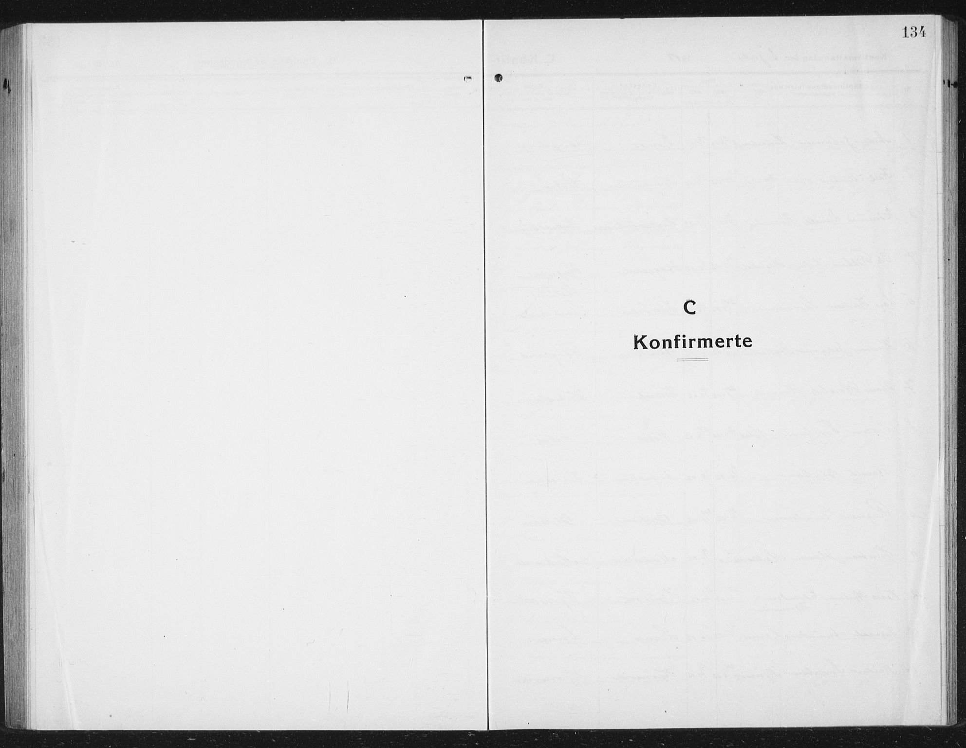 Ministerialprotokoller, klokkerbøker og fødselsregistre - Sør-Trøndelag, SAT/A-1456/630/L0506: Parish register (copy) no. 630C04, 1914-1933, p. 134