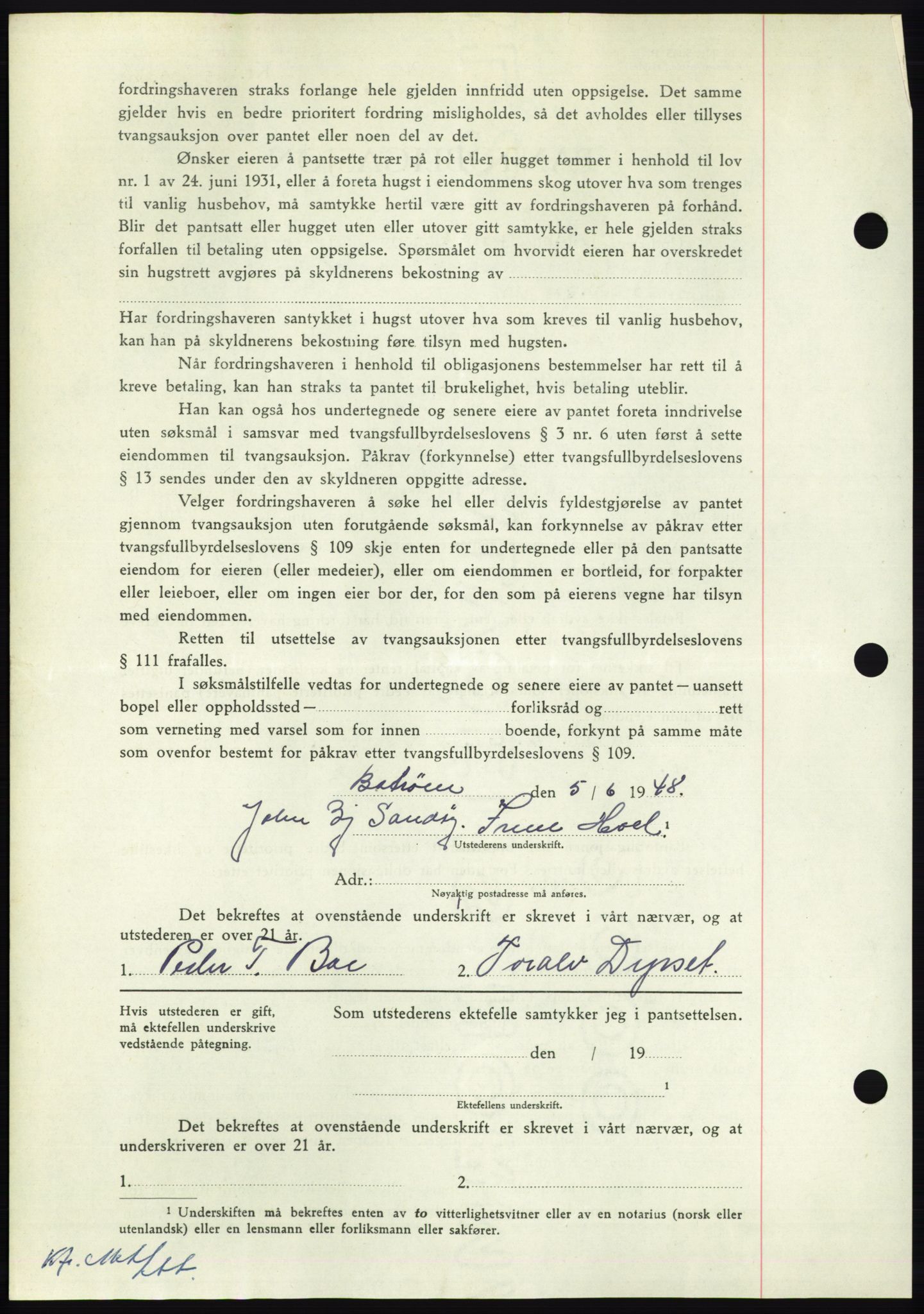 Nordmøre sorenskriveri, AV/SAT-A-4132/1/2/2Ca: Mortgage book no. B99, 1948-1948, Diary no: : 2004/1948