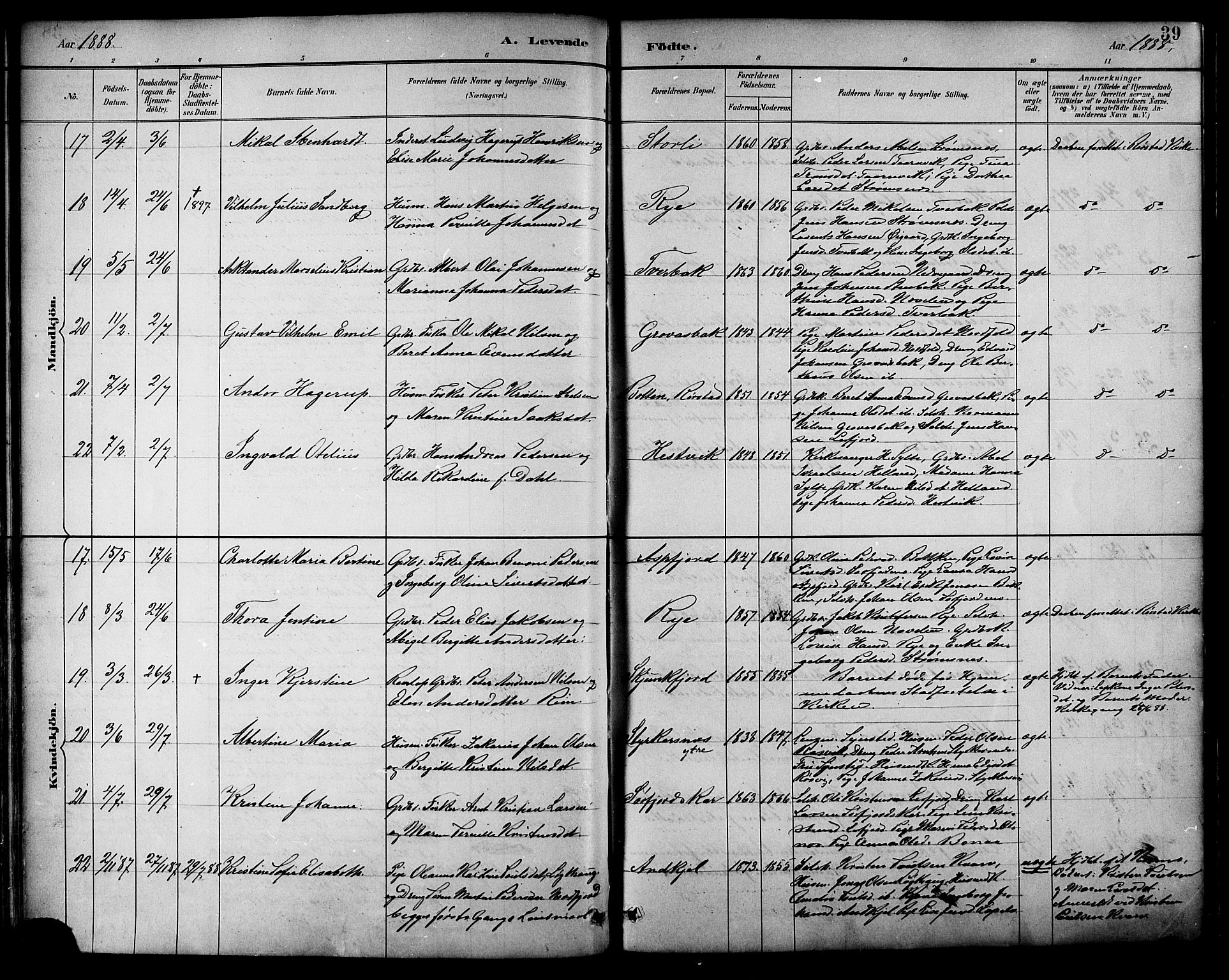 Ministerialprotokoller, klokkerbøker og fødselsregistre - Nordland, AV/SAT-A-1459/854/L0777: Parish register (official) no. 854A01 /1, 1883-1891, p. 39