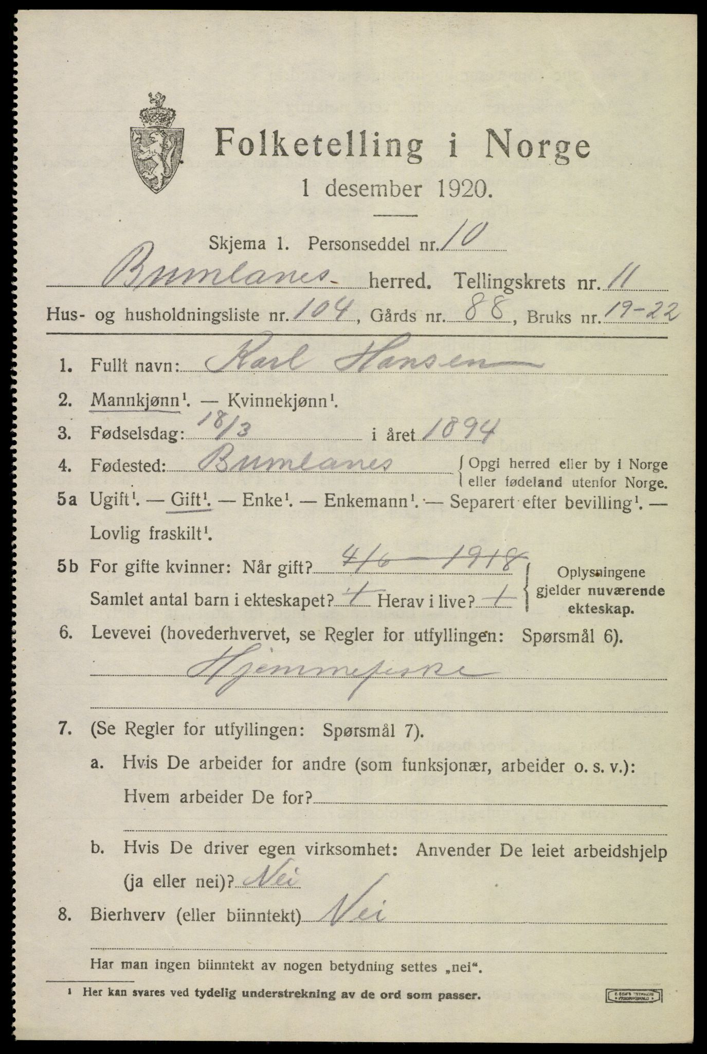 SAKO, 1920 census for Brunlanes, 1920, p. 10479