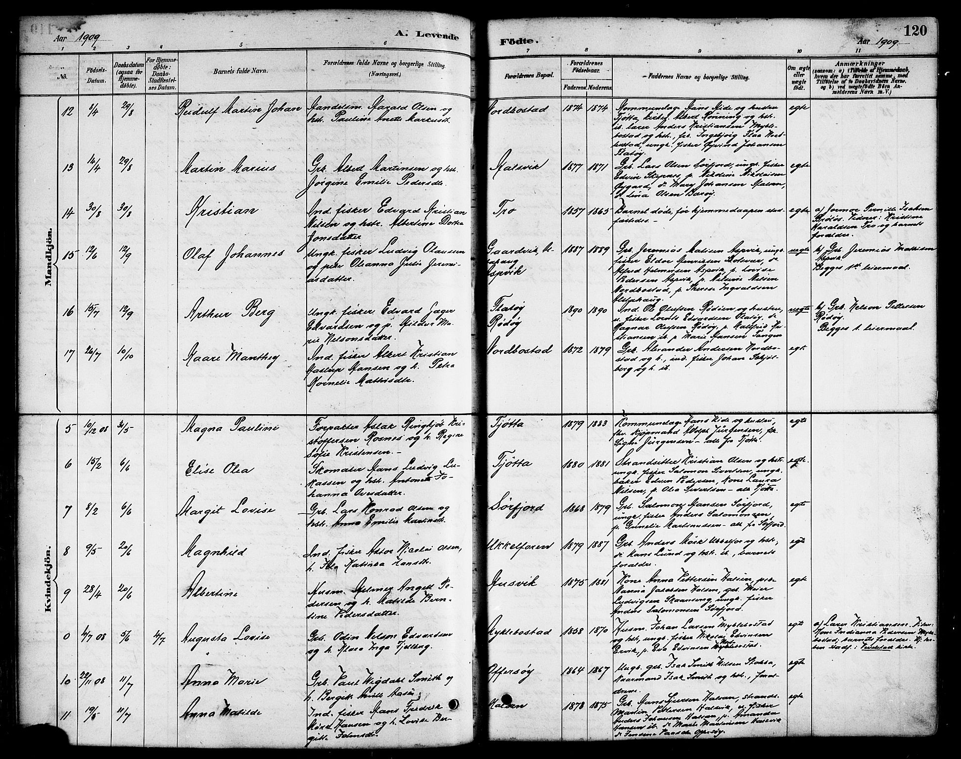 Ministerialprotokoller, klokkerbøker og fødselsregistre - Nordland, AV/SAT-A-1459/817/L0268: Parish register (copy) no. 817C03, 1884-1920, p. 120