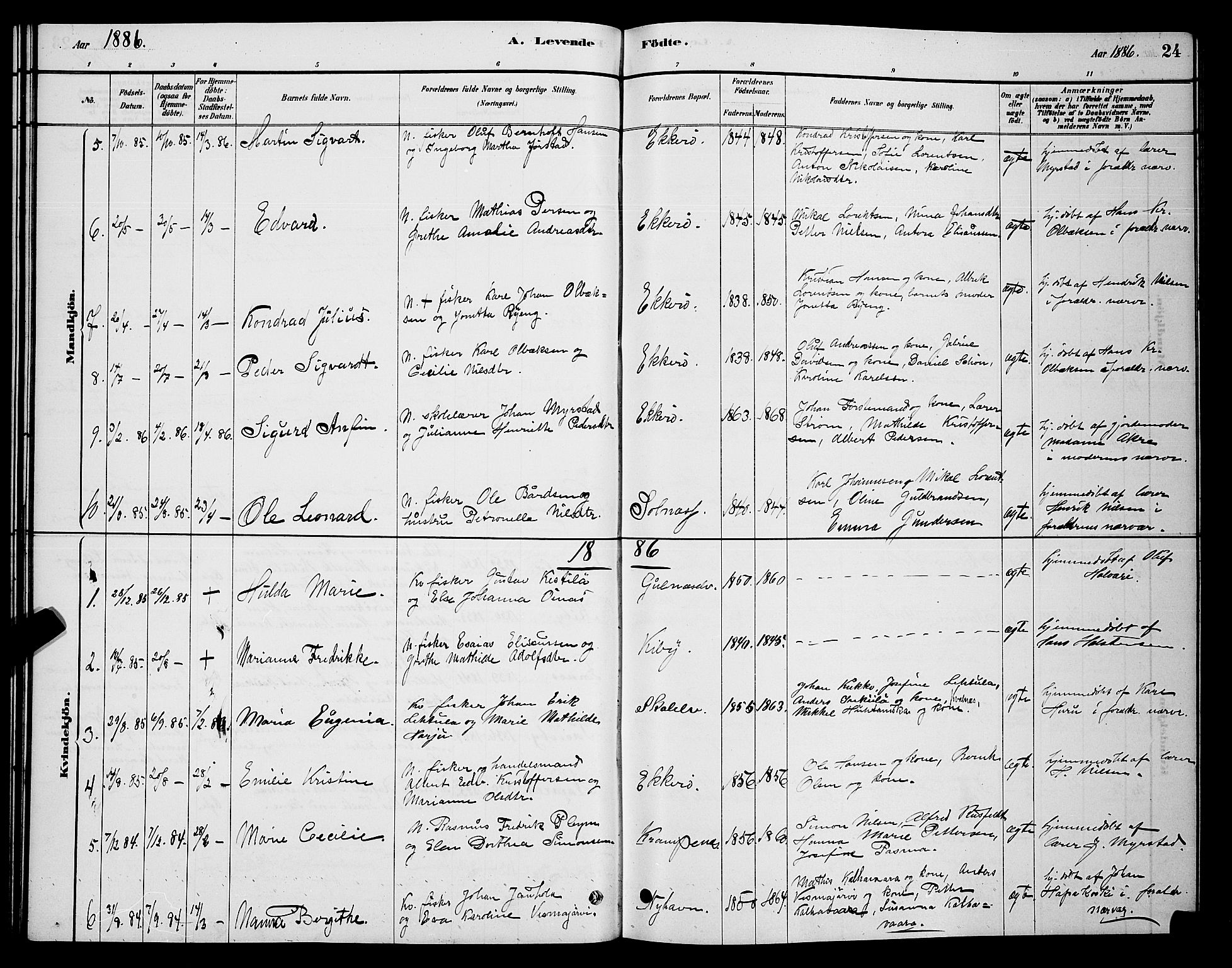 Vadsø sokneprestkontor, AV/SATØ-S-1325/H/Hb/L0003klokker: Parish register (copy) no. 3, 1881-1901, p. 24