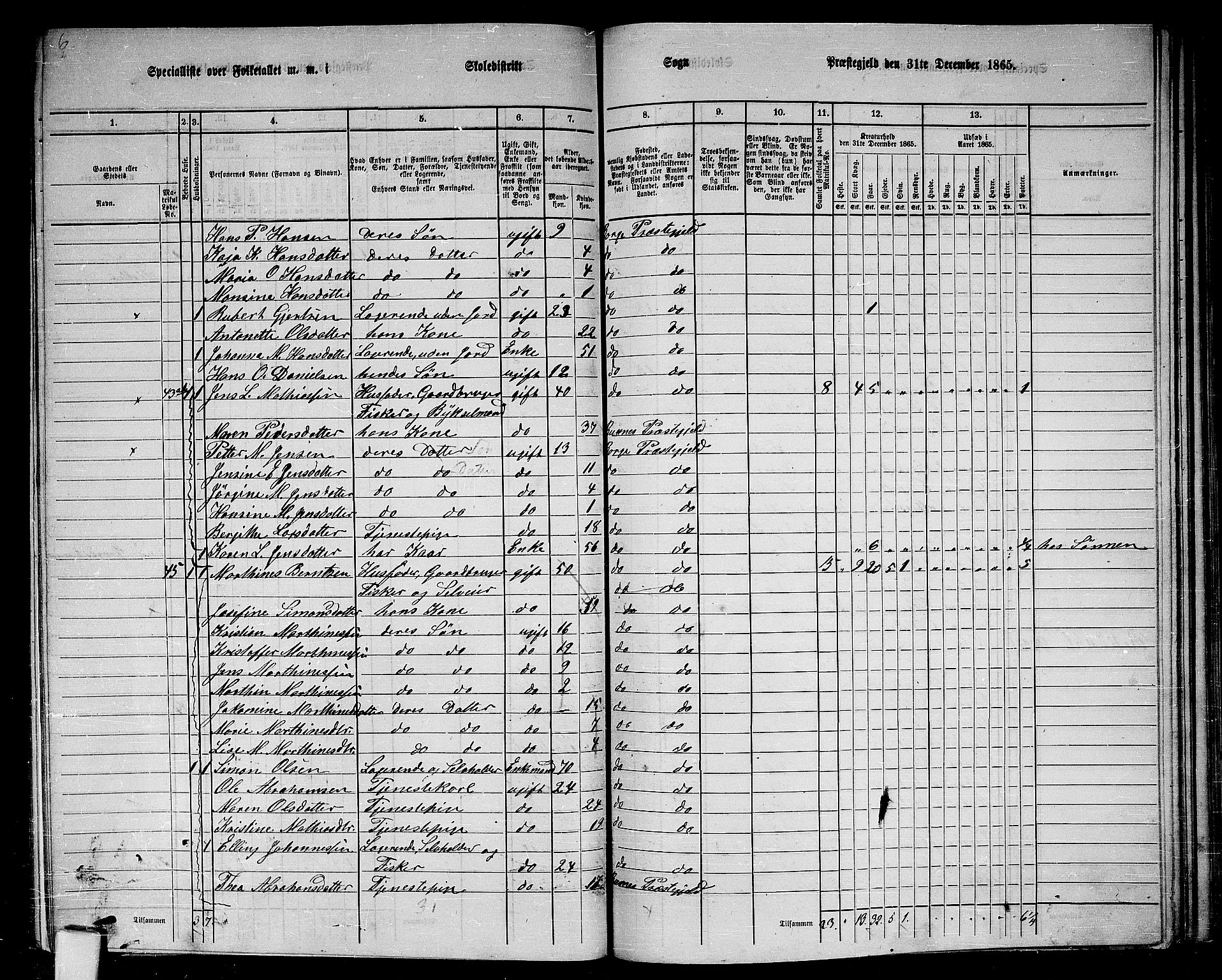 RA, 1865 census for Borge, 1865, p. 46