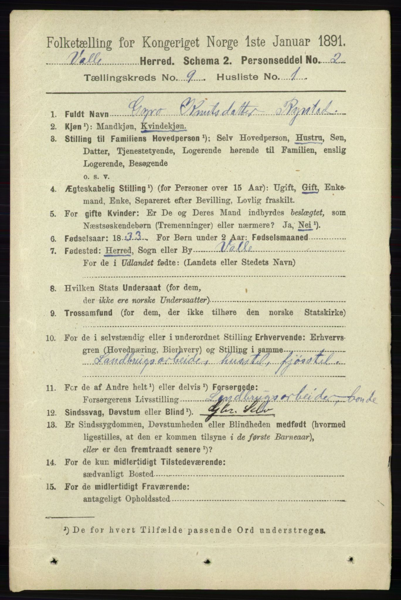 RA, 1891 census for 0940 Valle, 1891, p. 2445