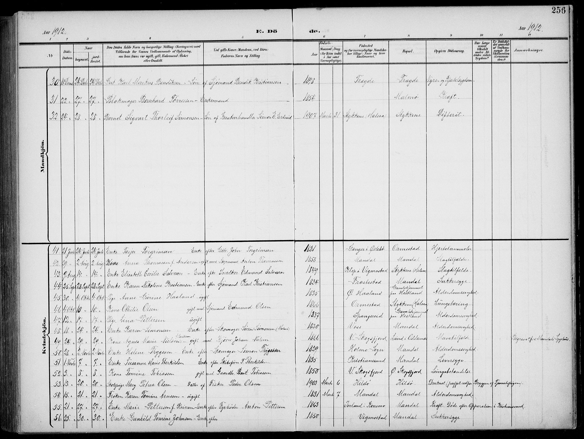 Mandal sokneprestkontor, AV/SAK-1111-0030/F/Fb/Fba/L0012: Parish register (copy) no. B 6, 1899-1918, p. 256