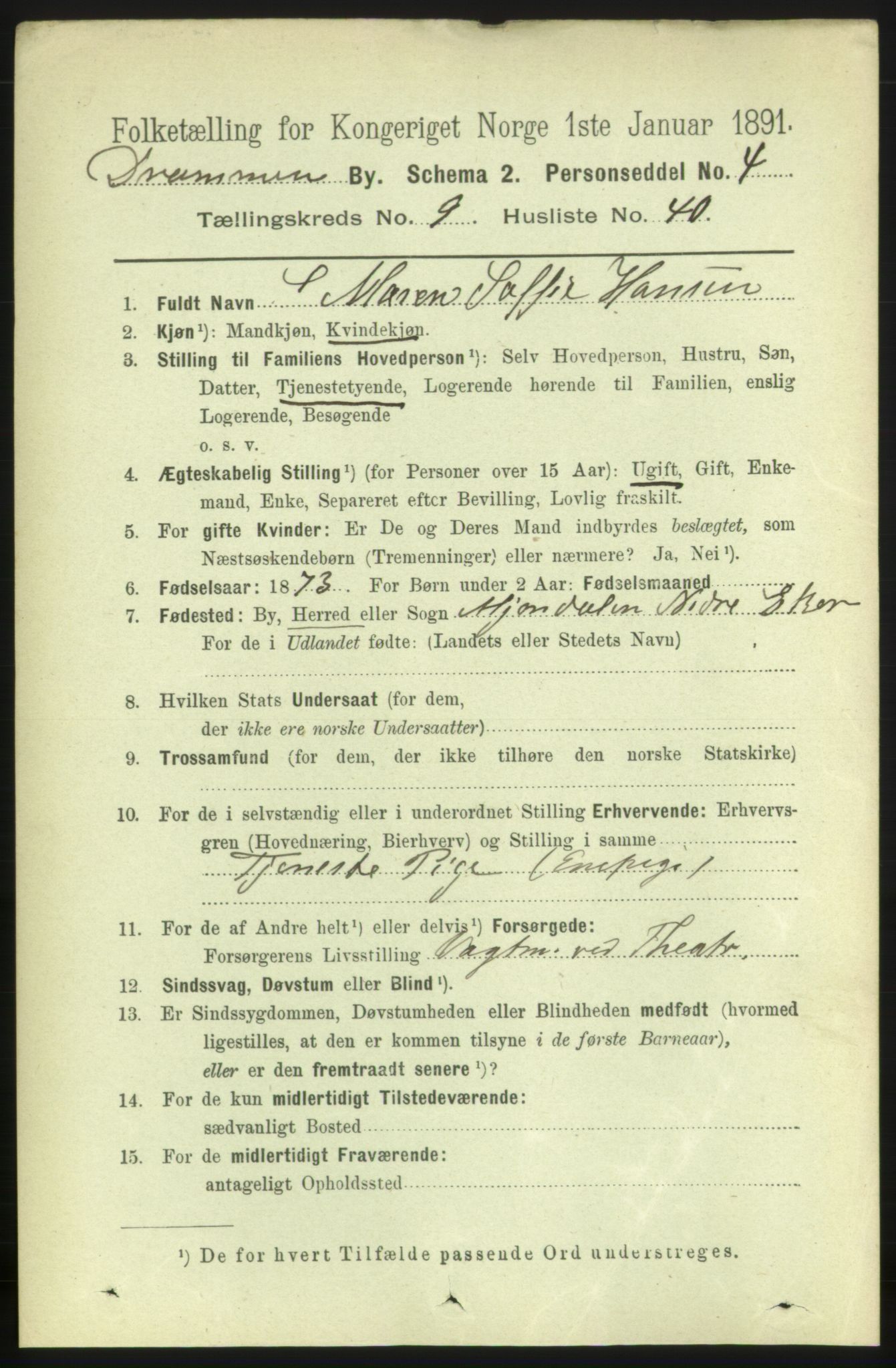 RA, 1891 census for 0602 Drammen, 1891, p. 7907