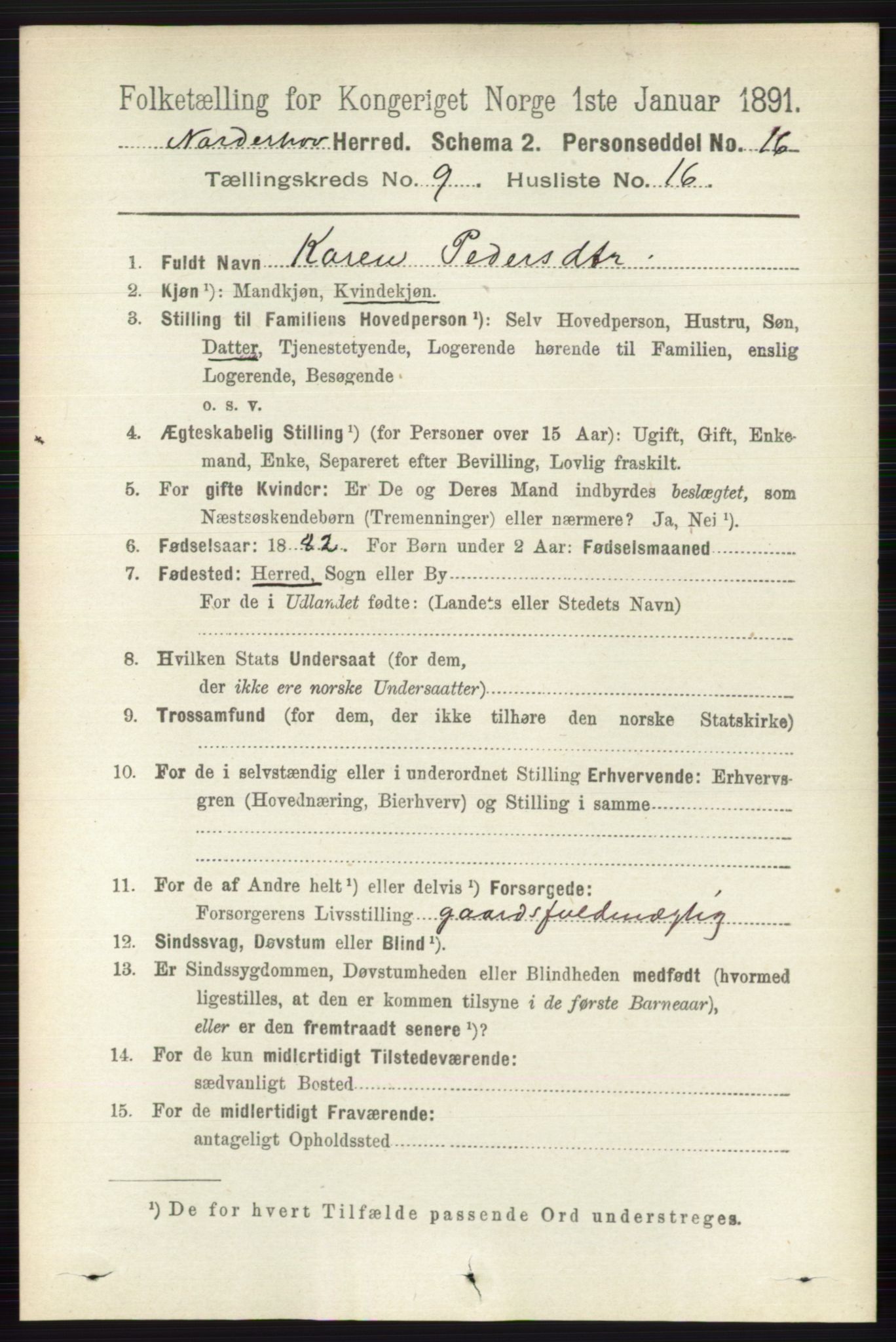 RA, 1891 census for 0613 Norderhov, 1891, p. 6701