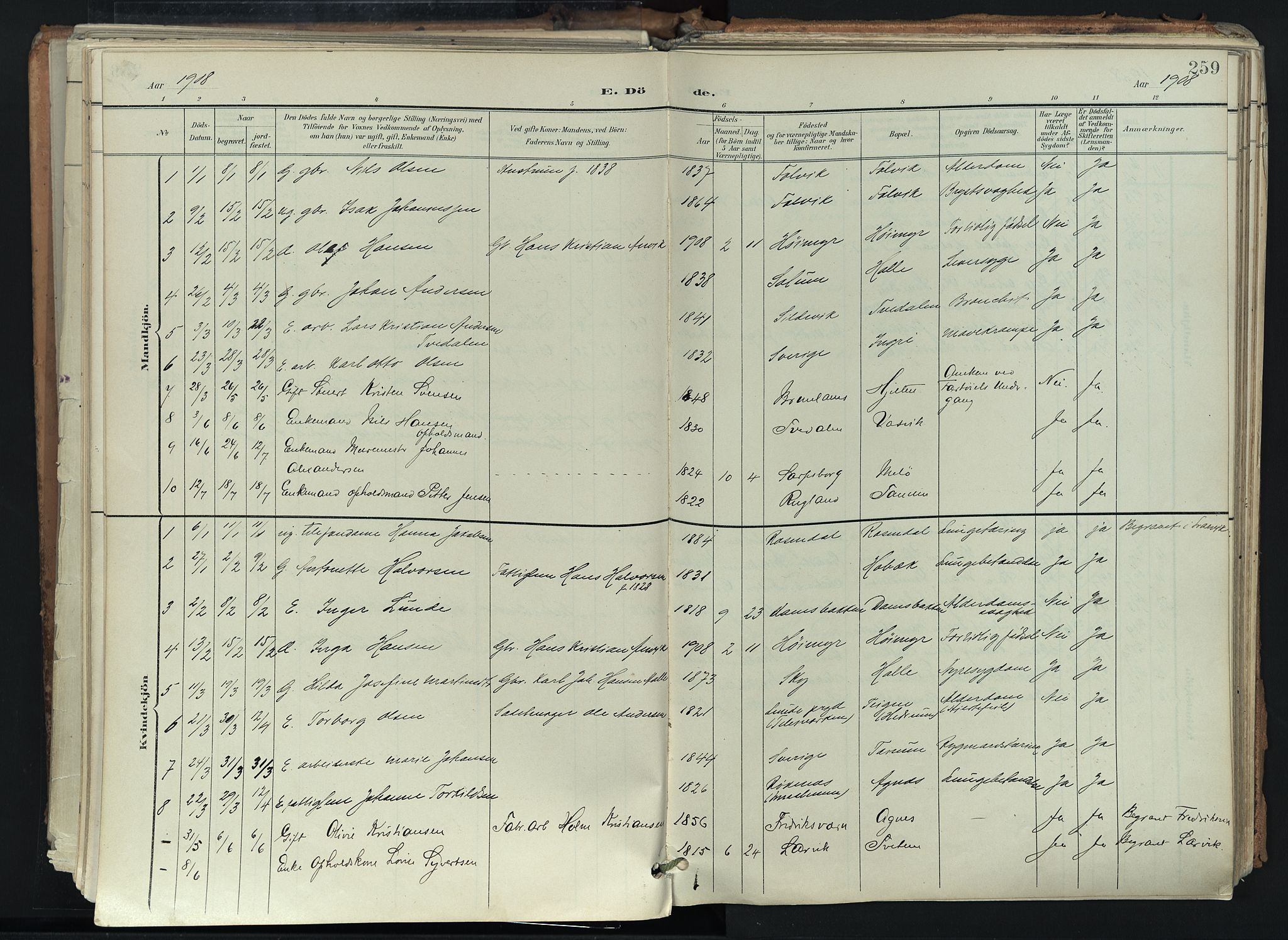Brunlanes kirkebøker, AV/SAKO-A-342/F/Fc/L0003: Parish register (official) no. III 3, 1900-1922, p. 259