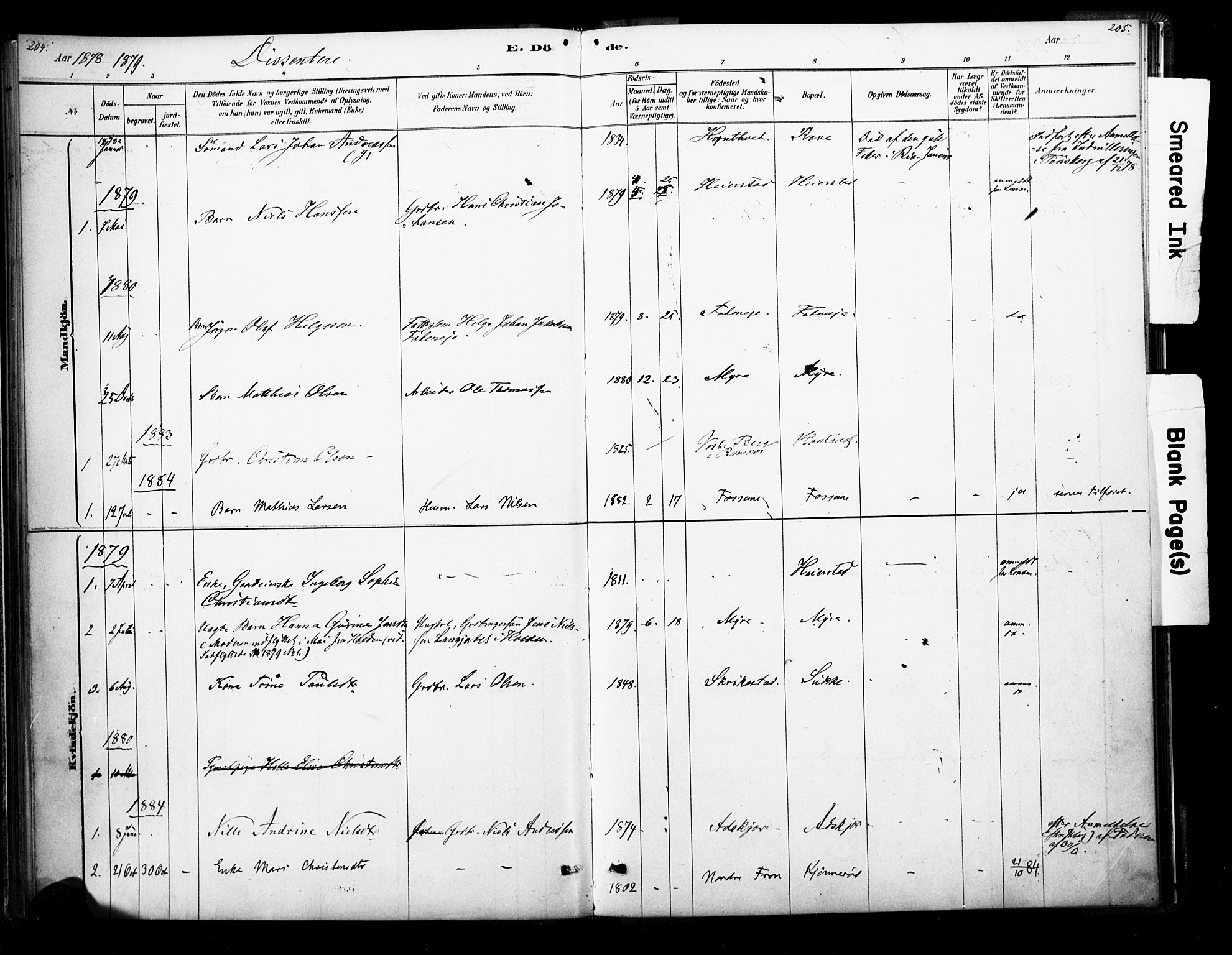 Ramnes kirkebøker, SAKO/A-314/F/Fb/L0001: Parish register (official) no. II 1, 1878-1894, p. 204-205